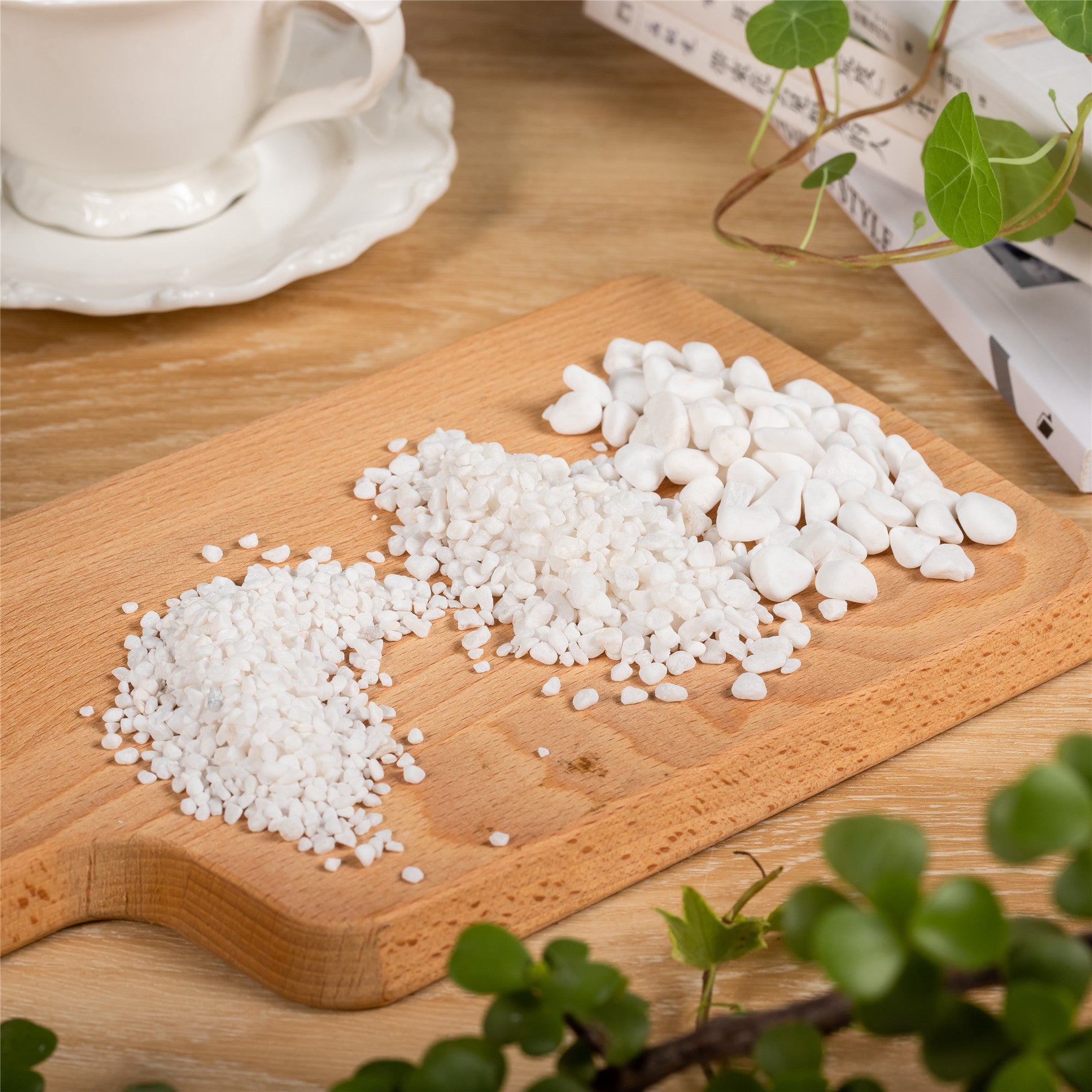 Decorative White Pebble Rocks for Succulents Top Dressing, for Terrarium, Fairy Gardening - NCYPgarden