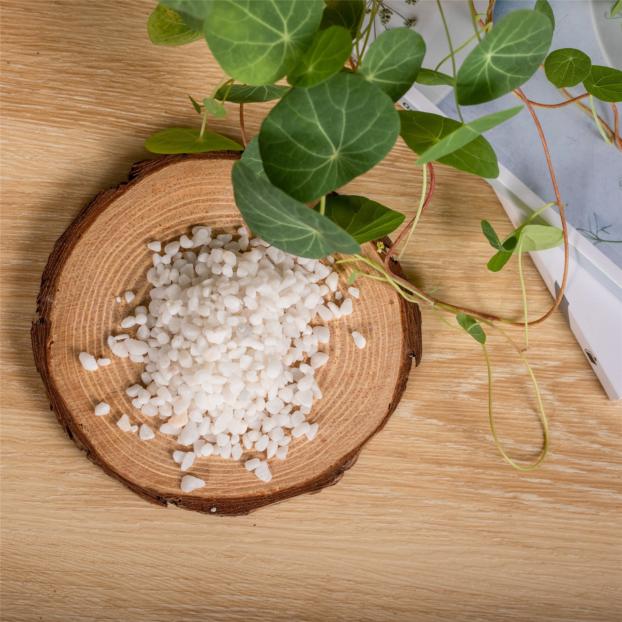 Decorative White Pebble Rocks for Succulents Top Dressing, for Terrarium, Fairy Gardening - NCYPgarden