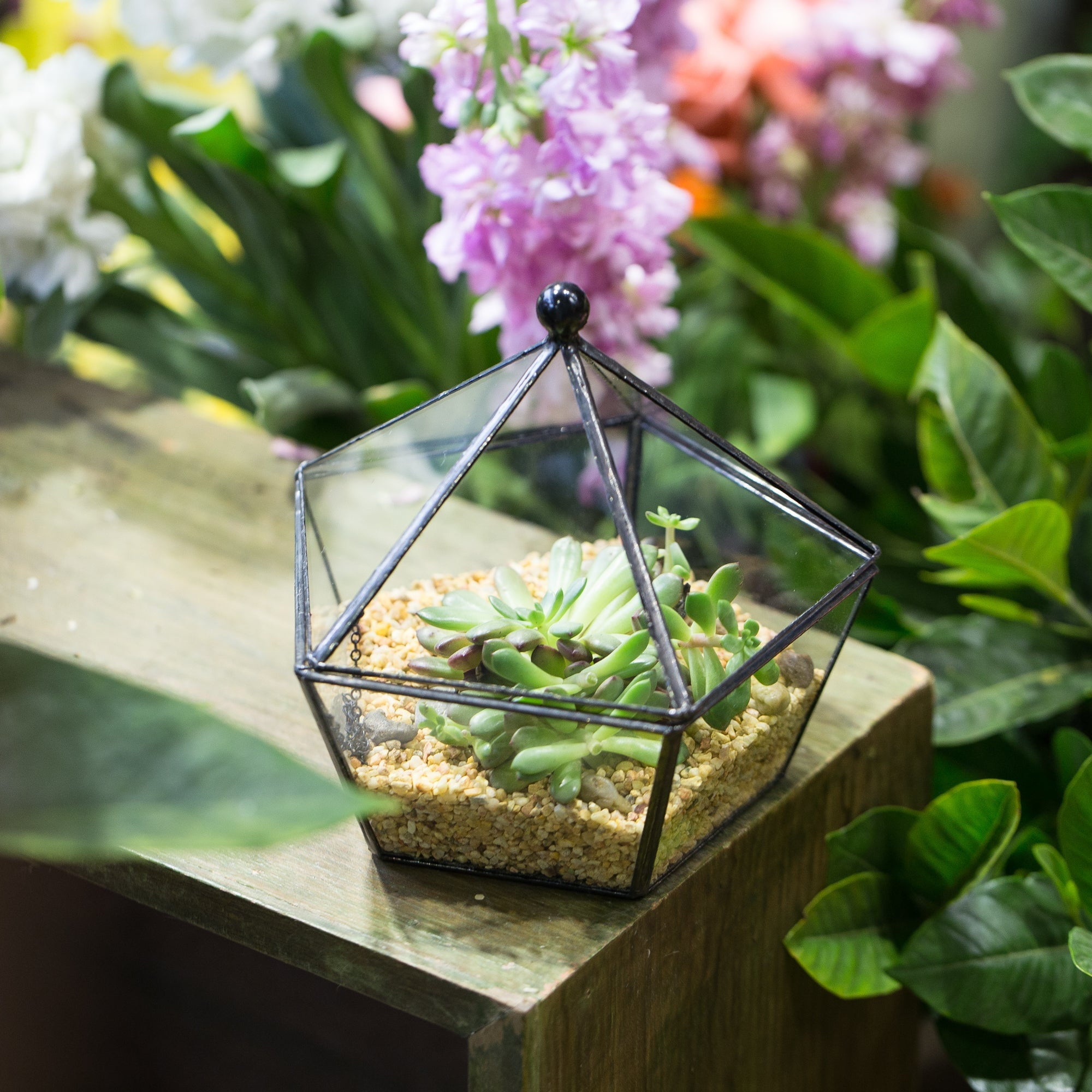 Modern Succulent Plant Glass Geometric Container Desktop Flower Pot for Succulents Flower - NCYPgarden