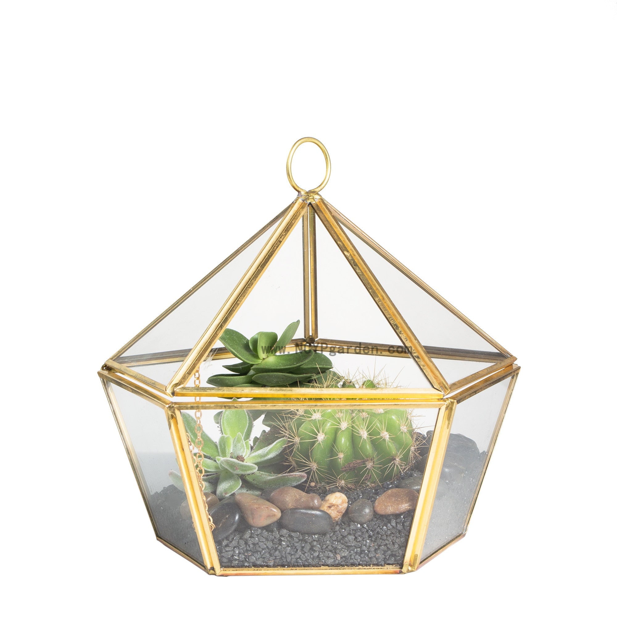 Modern Glass Geometric Terrarium Five Sides Tabletop Display Box for Succulent Fern Moss Plant - NCYPgarden
