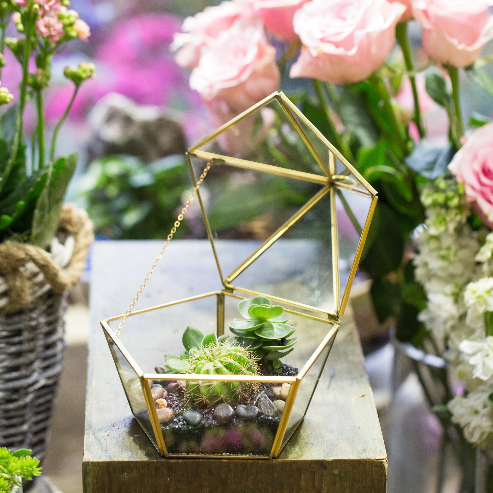 Modern Glass Geometric Terrarium Five Sides Tabletop Display Box for Succulent Fern Moss Plant - NCYPgarden