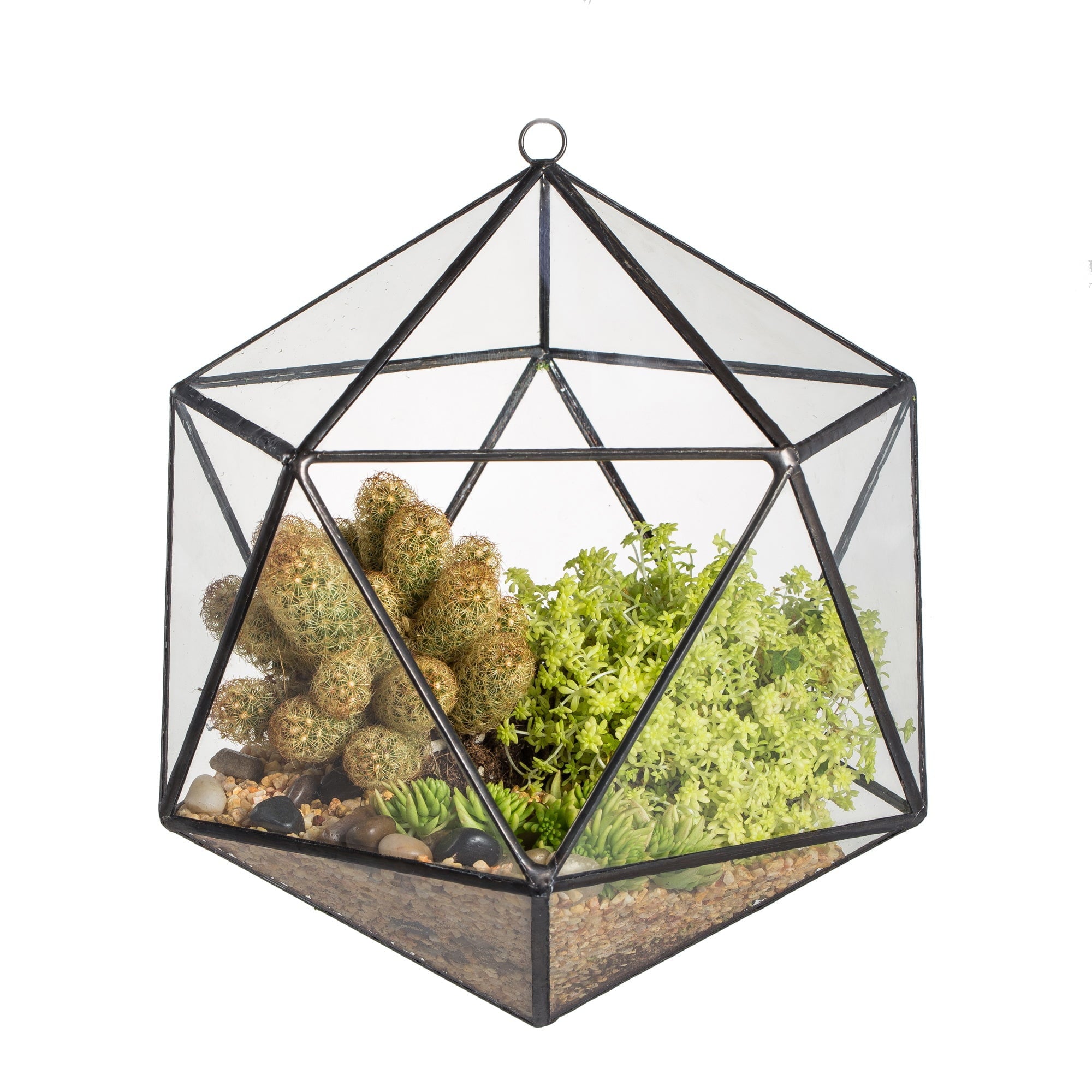 NCYP Wall Hanging Glass Geometric Terrarium Modern Handmade Planter Tabletop Balcony Landschaft Flower Pot Air Plants Holder Display Container - NCYPgarden