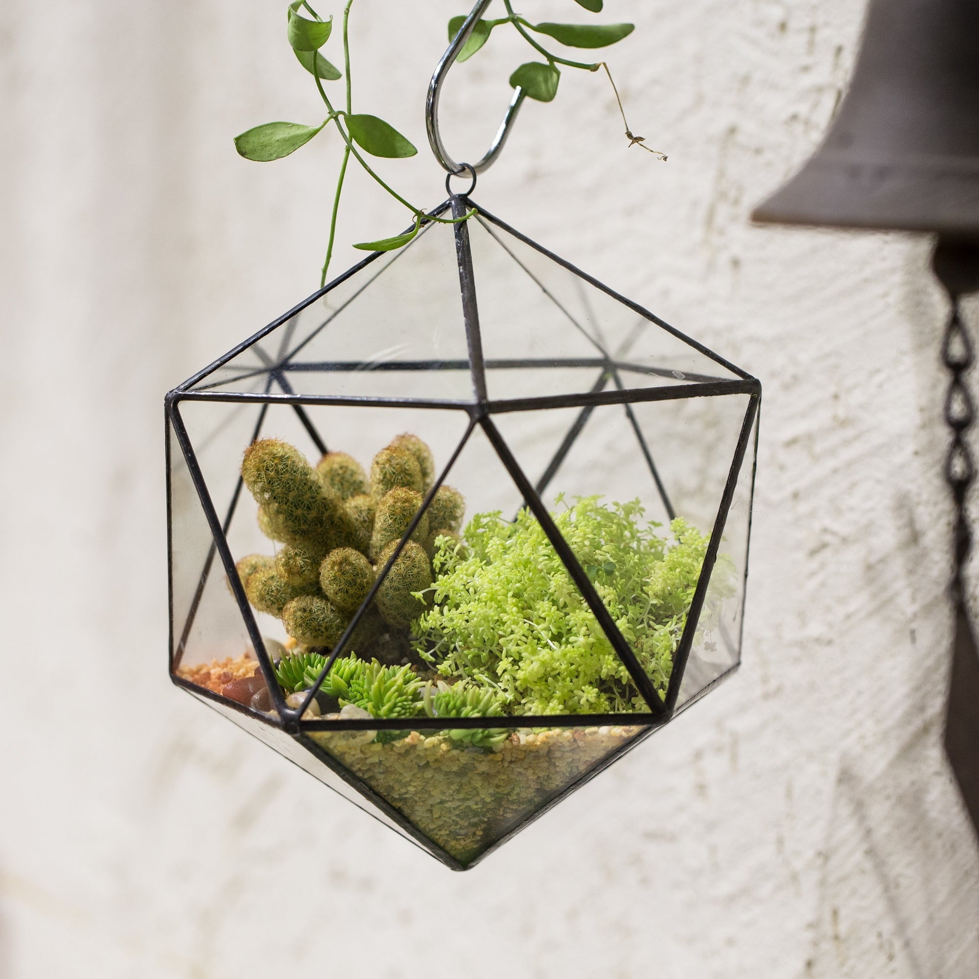 NCYP Wall Hanging Glass Geometric Terrarium Modern Handmade Planter Tabletop Balcony Landschaft Flower Pot Air Plants Holder Display Container - NCYPgarden