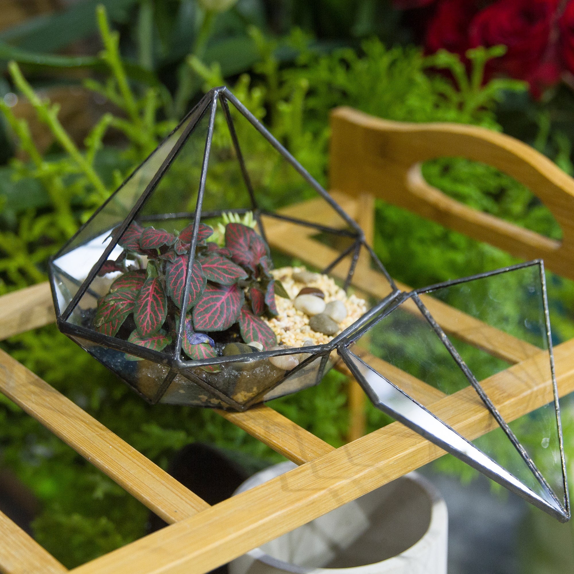 Classic Octahedral Bonsai Pot Tabletop Succulent Pot Geometric Glass Terrarium for Flower Pot - NCYPgarden