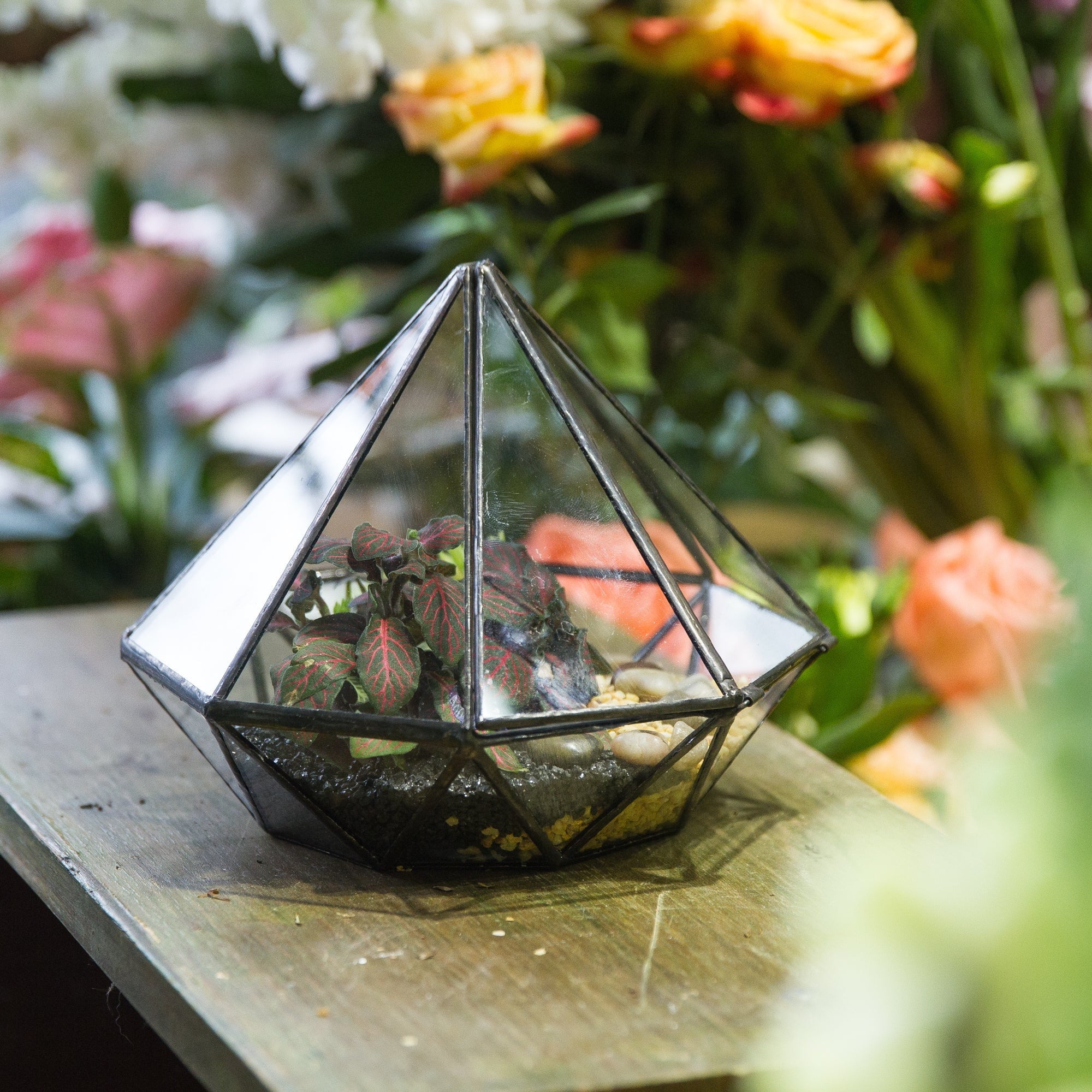 Classic Octahedral Bonsai Pot Tabletop Succulent Pot Geometric Glass Terrarium for Flower Pot - NCYPgarden