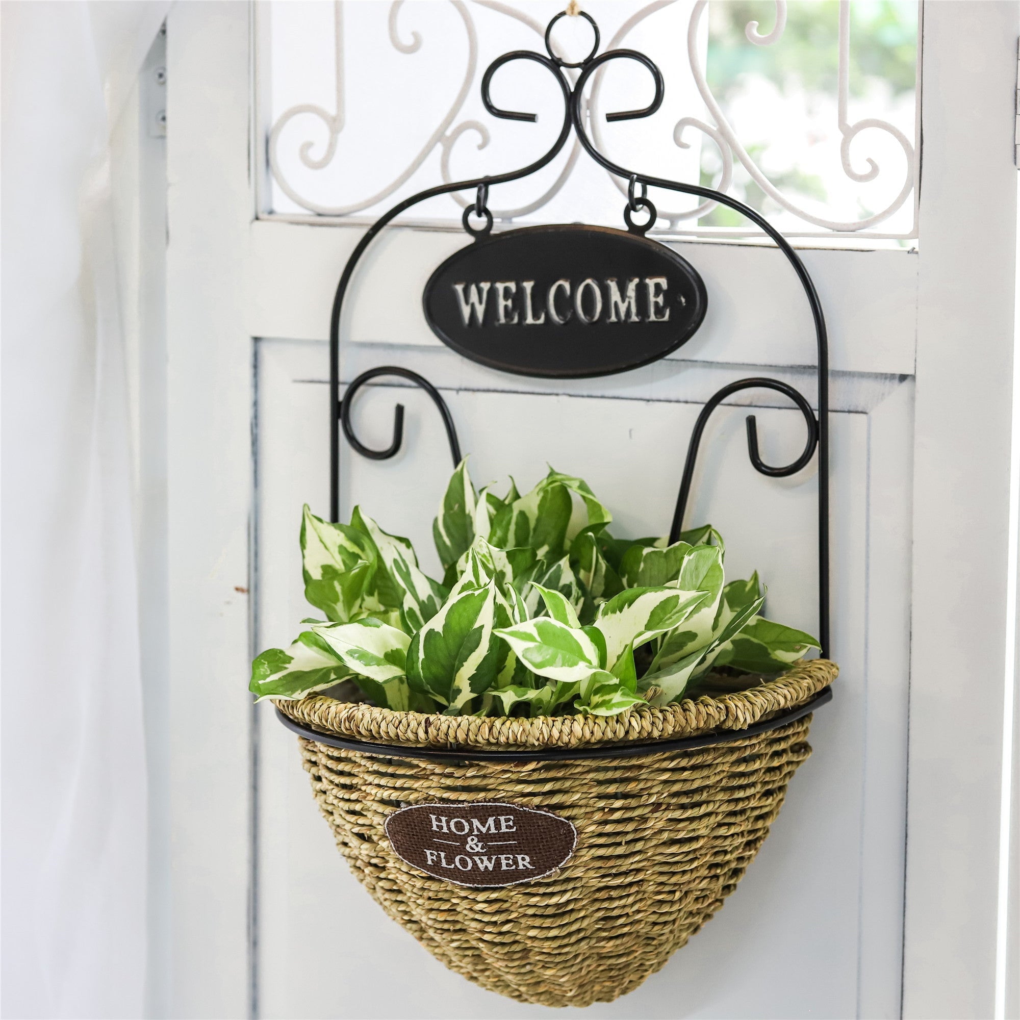 NCYP 2Pcs Wall Hanging Flower Basket Demilune Shape Handmade Woven Planter Flower Pot Black Metal - NCYPgarden