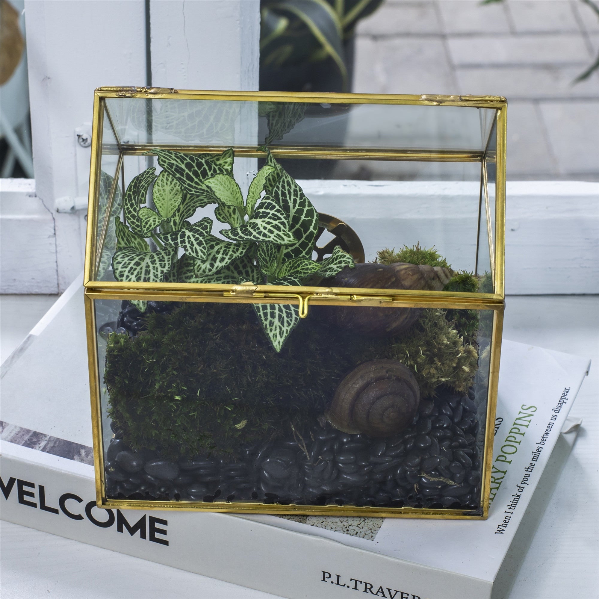Handmade NCYP Geometric Glass Gold Terrarium Box House Shape, Close, Tabletop, Swing Lid for Air Plants Moss Snail Reptile Habitat - NCYPgarden