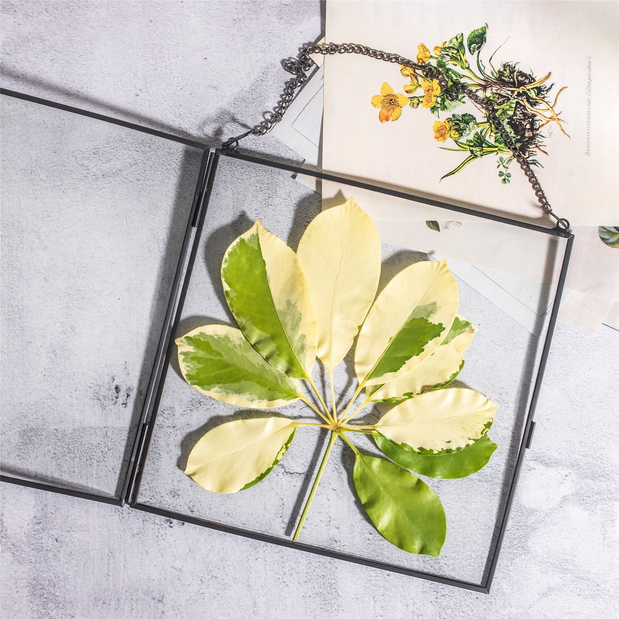 7.87"Handmade Black Large Wall Hanging Brass Glass Artwork Certificate Photo Display Floating Frame FR02T1 - NCYPgarden