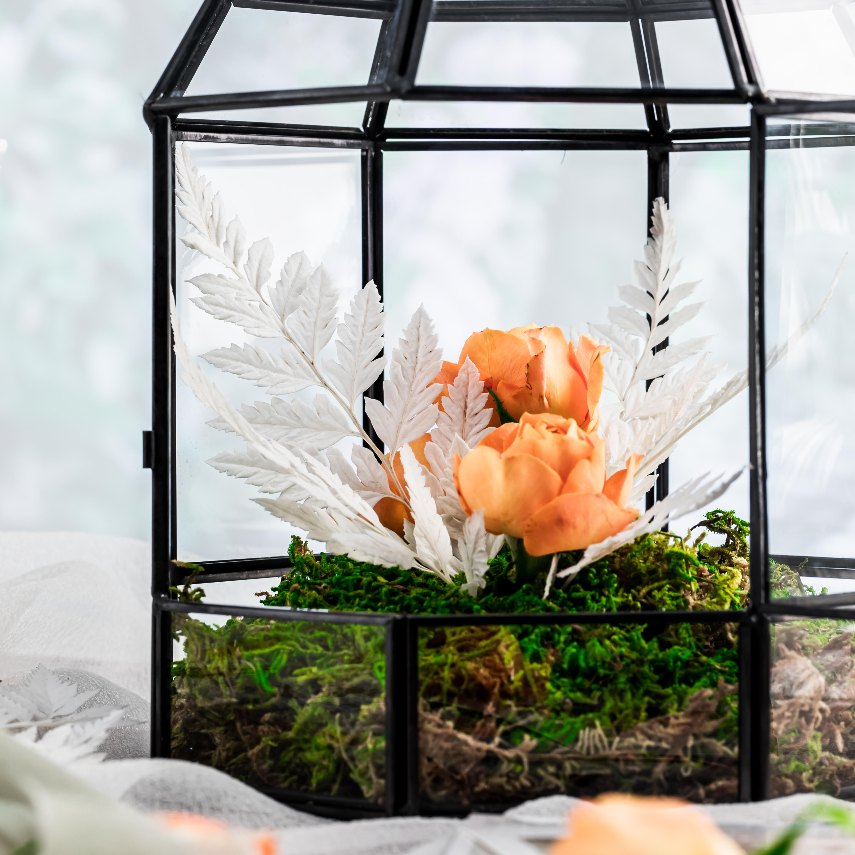 Preserved Pressed Flower Davallia mariesii, Squirrel's Foot Fern Leaf , Multiple Color,  5 pcs,  12inches long, 8inches width, DIY material - NCYPgarden