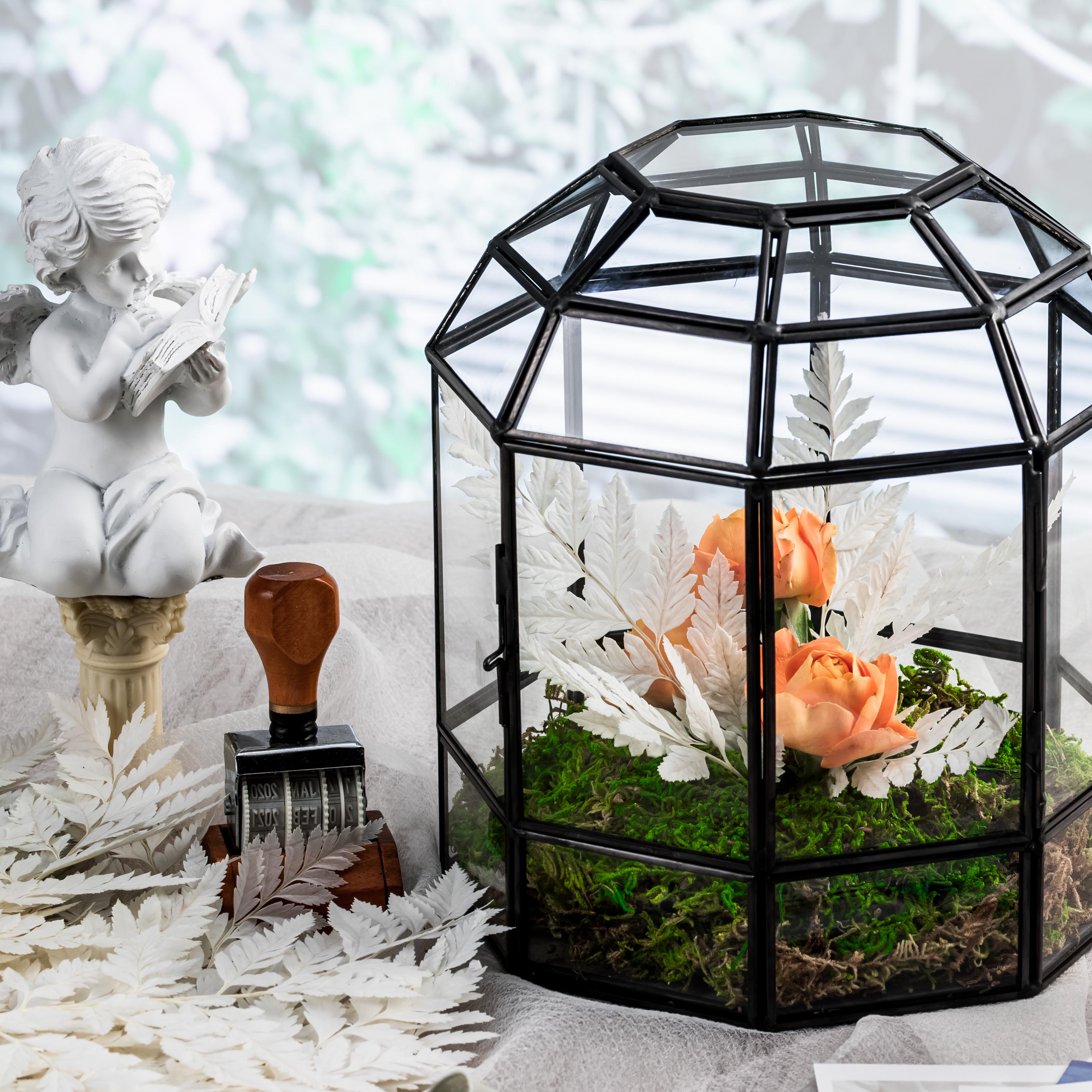 Preserved Pressed Flower Davallia mariesii, Squirrel's Foot Fern Leaf , Multiple Color,  5 pcs,  12inches long, 8inches width, DIY material - NCYPgarden