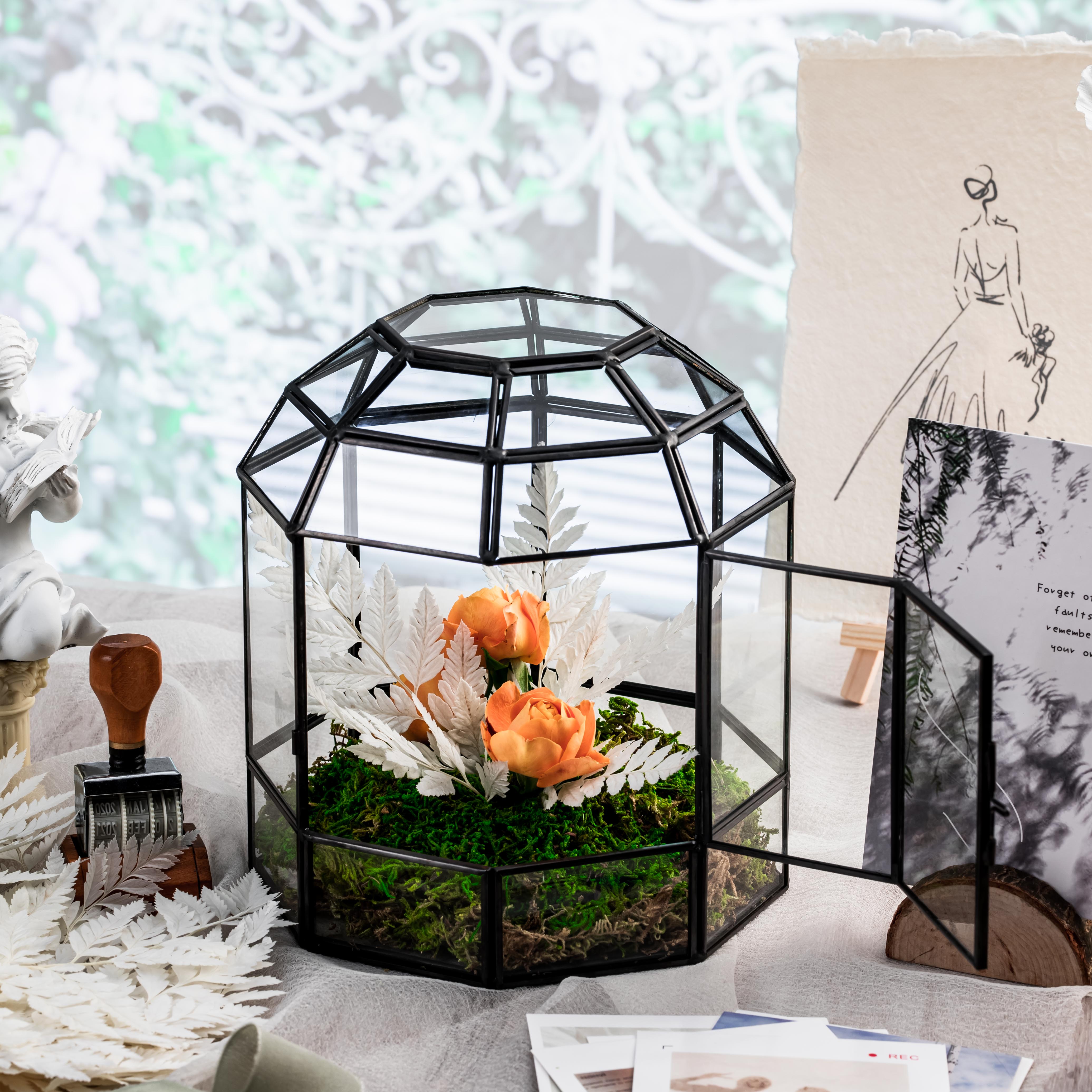 Preserved Pressed Flower Davallia mariesii, Squirrel's Foot Fern Leaf , Multiple Color,  5 pcs,  12inches long, 8inches width, DIY material - NCYPgarden