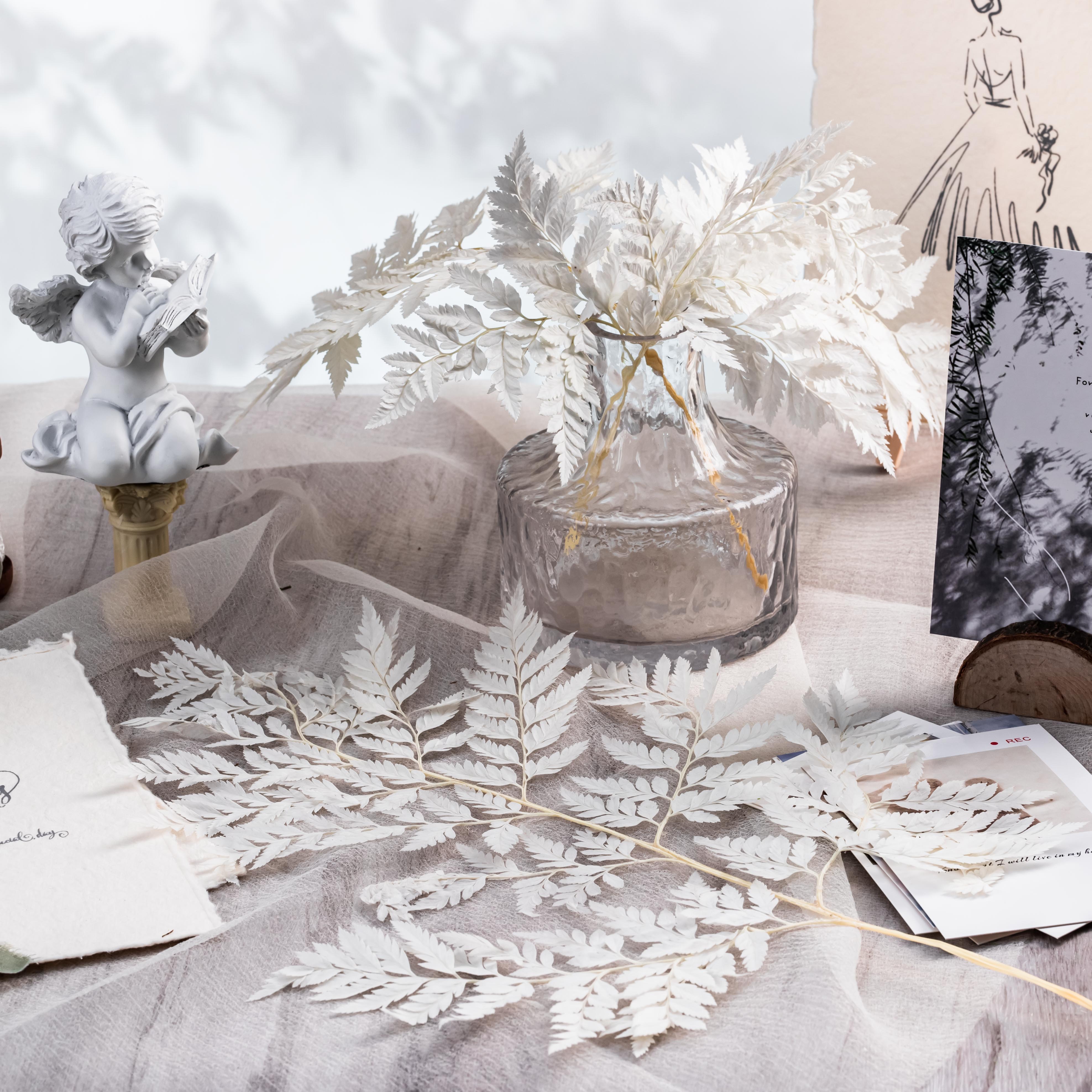 Preserved Pressed Flower Davallia mariesii, Squirrel's Foot Fern Leaf , Multiple Color,  5 pcs,  12inches long, 8inches width, DIY material - NCYPgarden