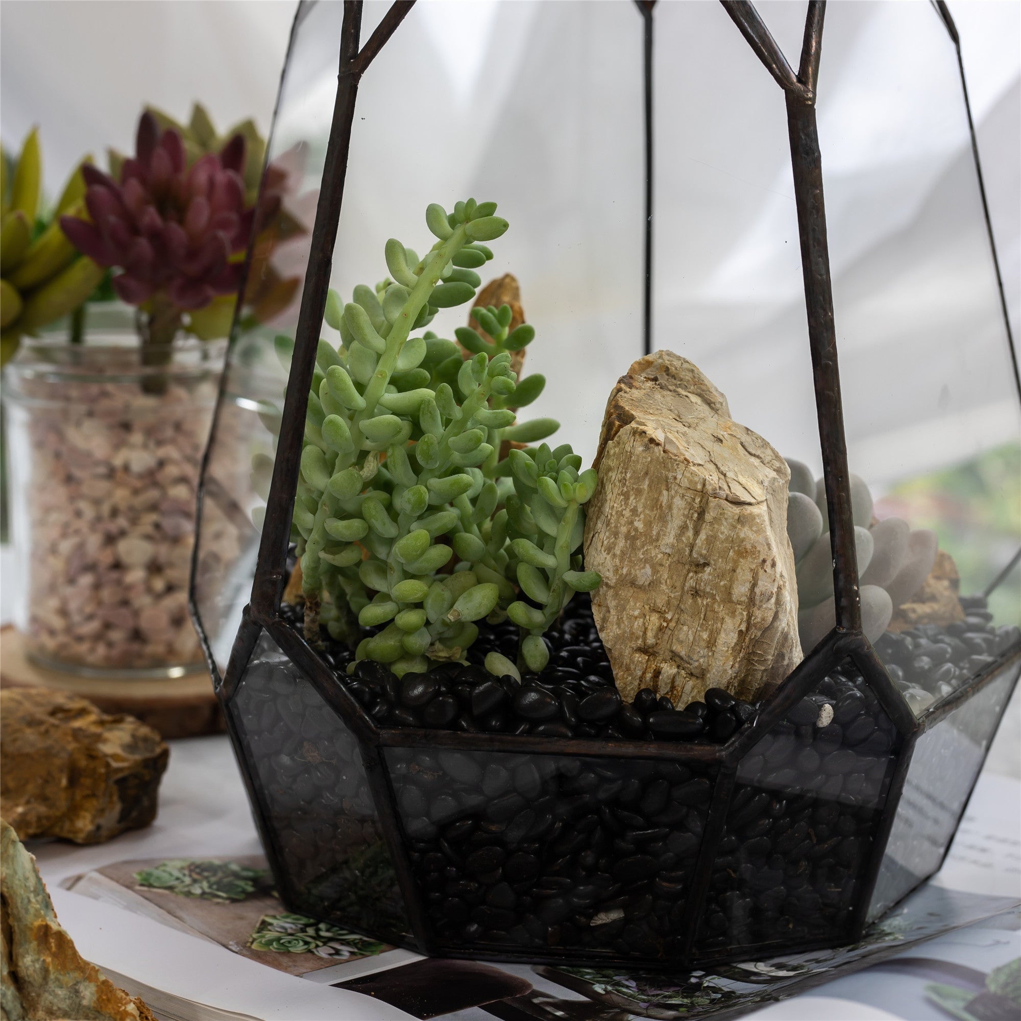 Black Natural Polished Pebbles for Terrarium, Bonsai, Small Planters, Moss, Fern, Succulents - NCYPgarden