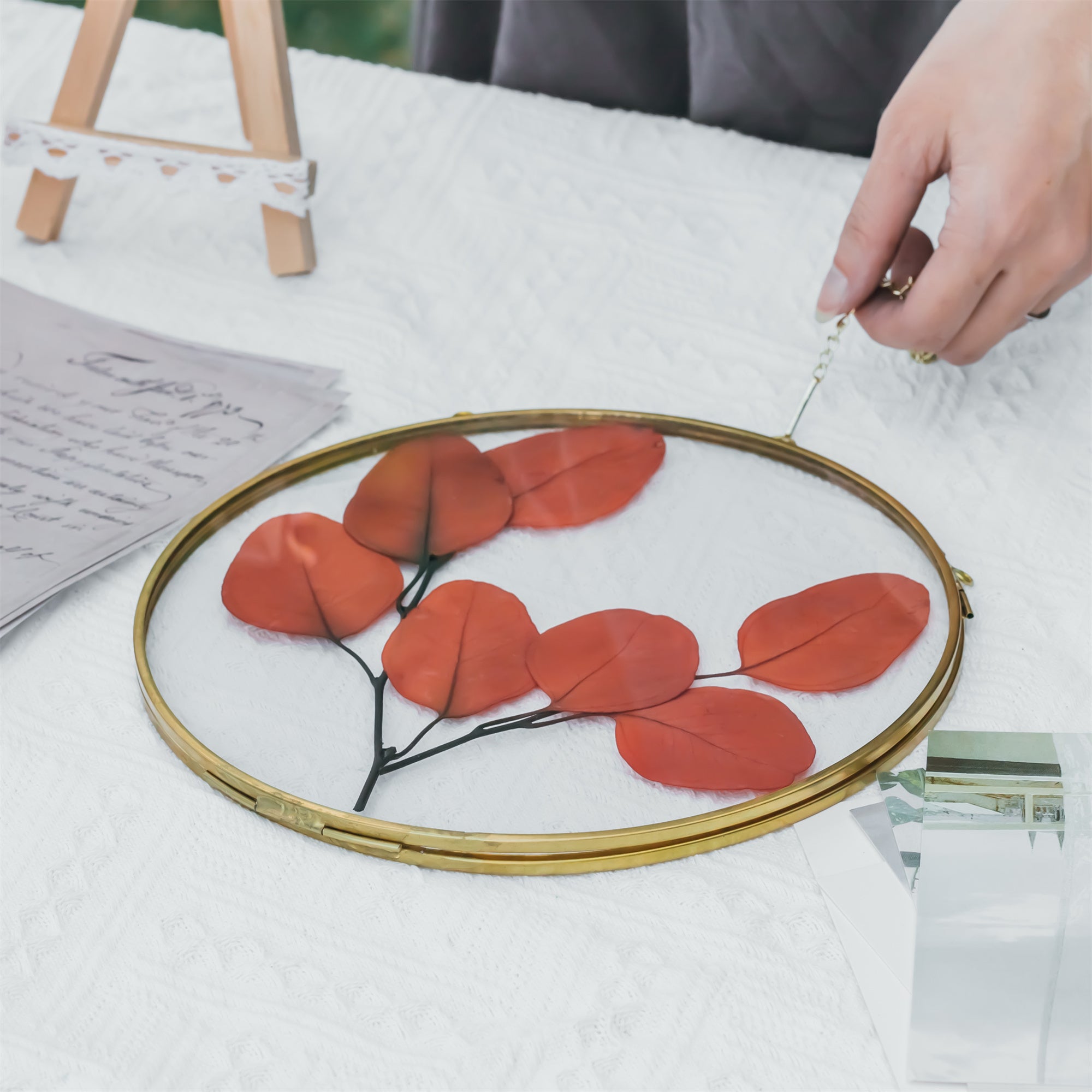 Round 6", 7" 10" 12" gold herbarium brass glass frame, Brass and Glass - NCYPgarden