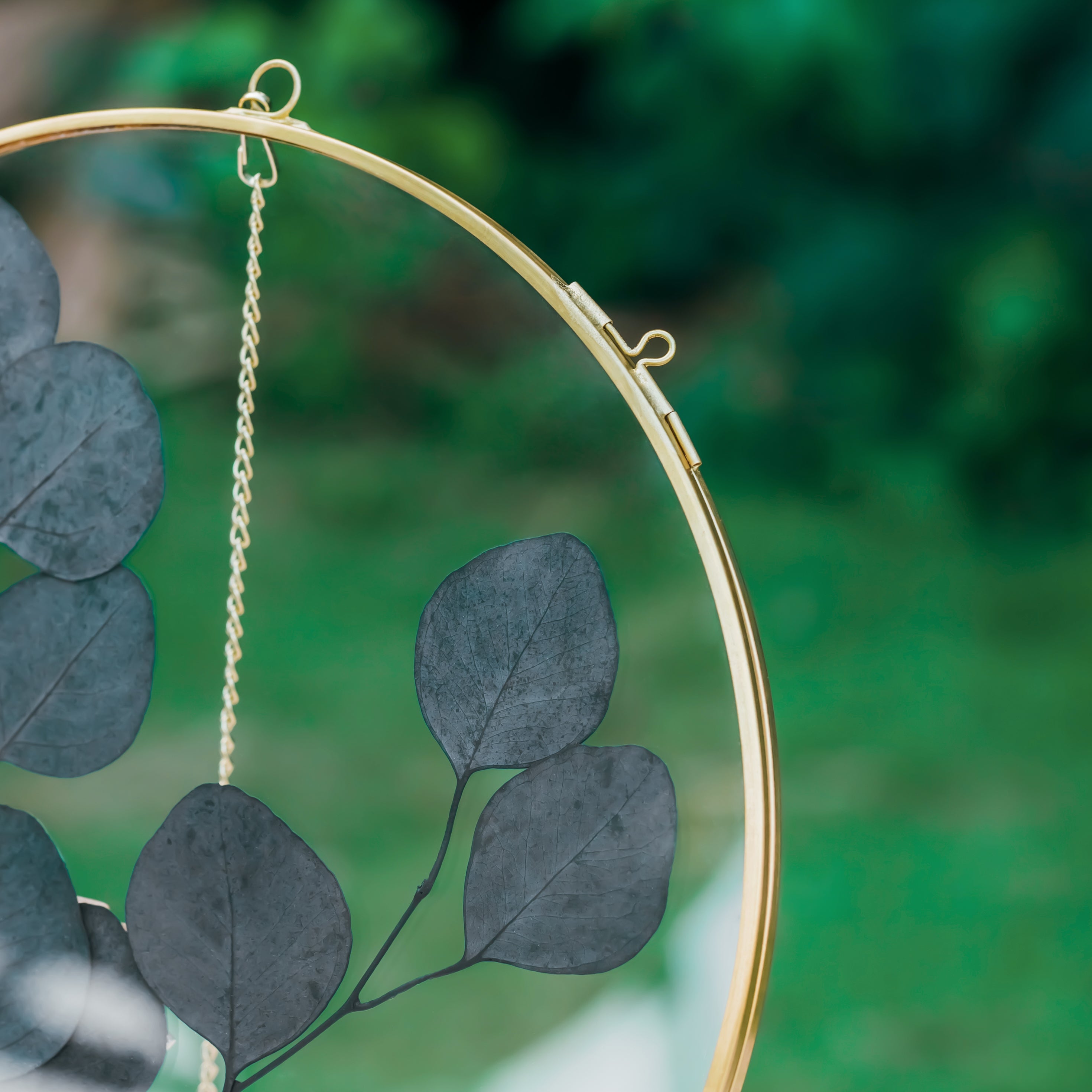 Round 6", 7" 10" 12" gold herbarium brass glass frame, Brass and Glass - NCYPgarden