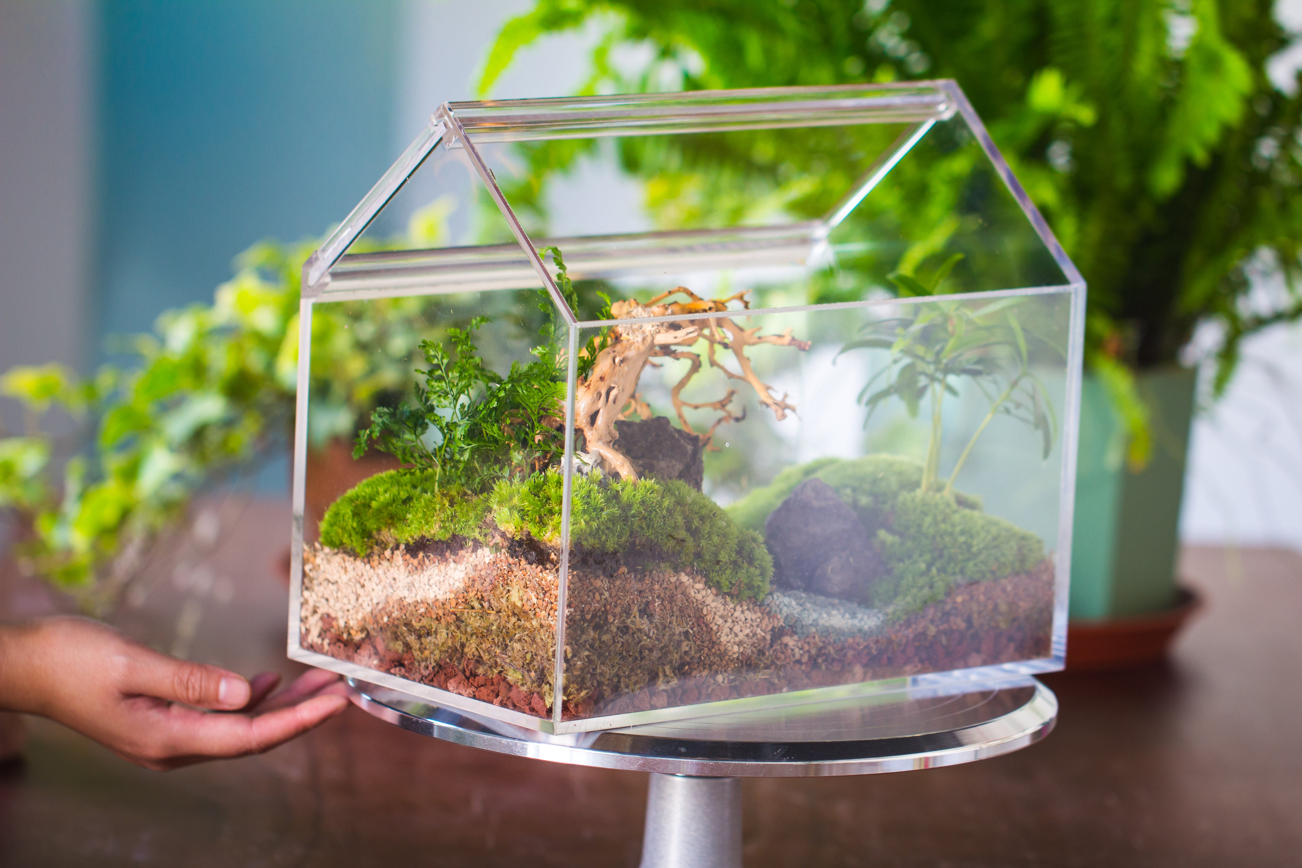 handmade water tight, sealed, enclosed, house acrylic terrarium, fish tank, moss fern terrarium Paludarium  Vivarium, 2 lid with vent - NCYPgarden
