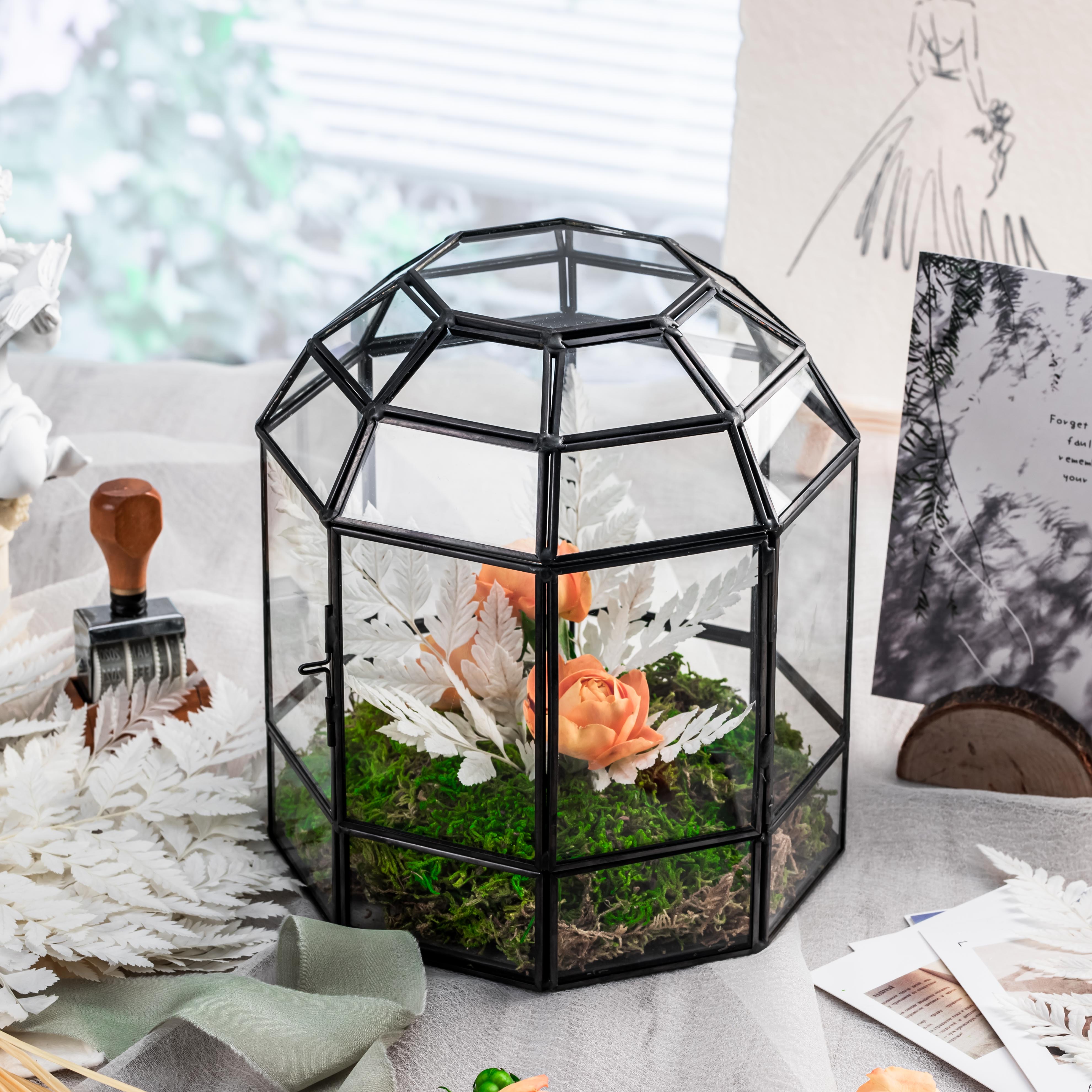 NCYP Dome Geometric Glass Terrarium Round, Closed  Succulents Planter Pot Miniature Dessert Landscape Bonsai Container - NCYPgarden