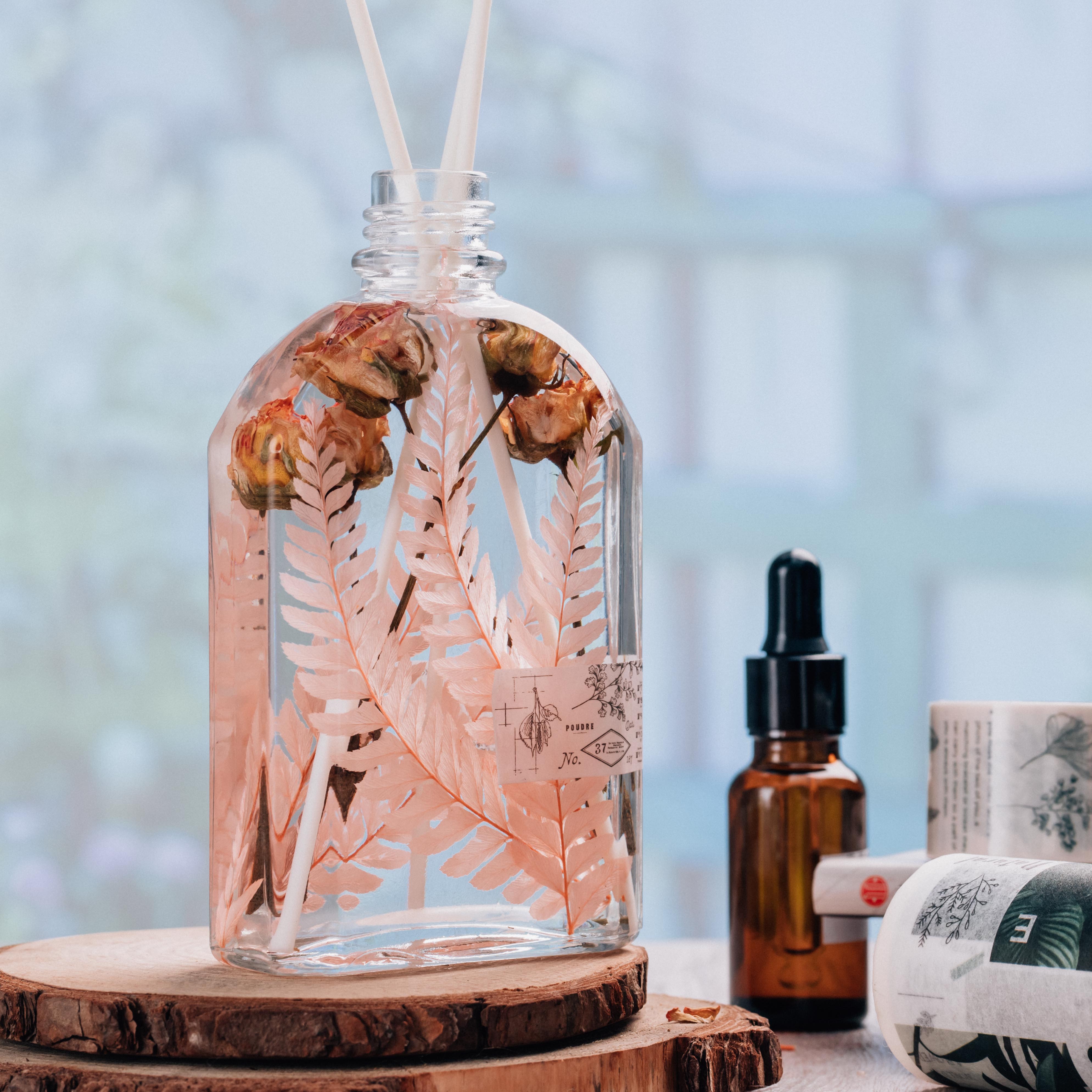 Preserved Pressed Flower Large Fern Branch Parathelypteris Glanduligera, Orange,  5 pcs,  55cm long, 35cm width, DIY material - NCYPgarden