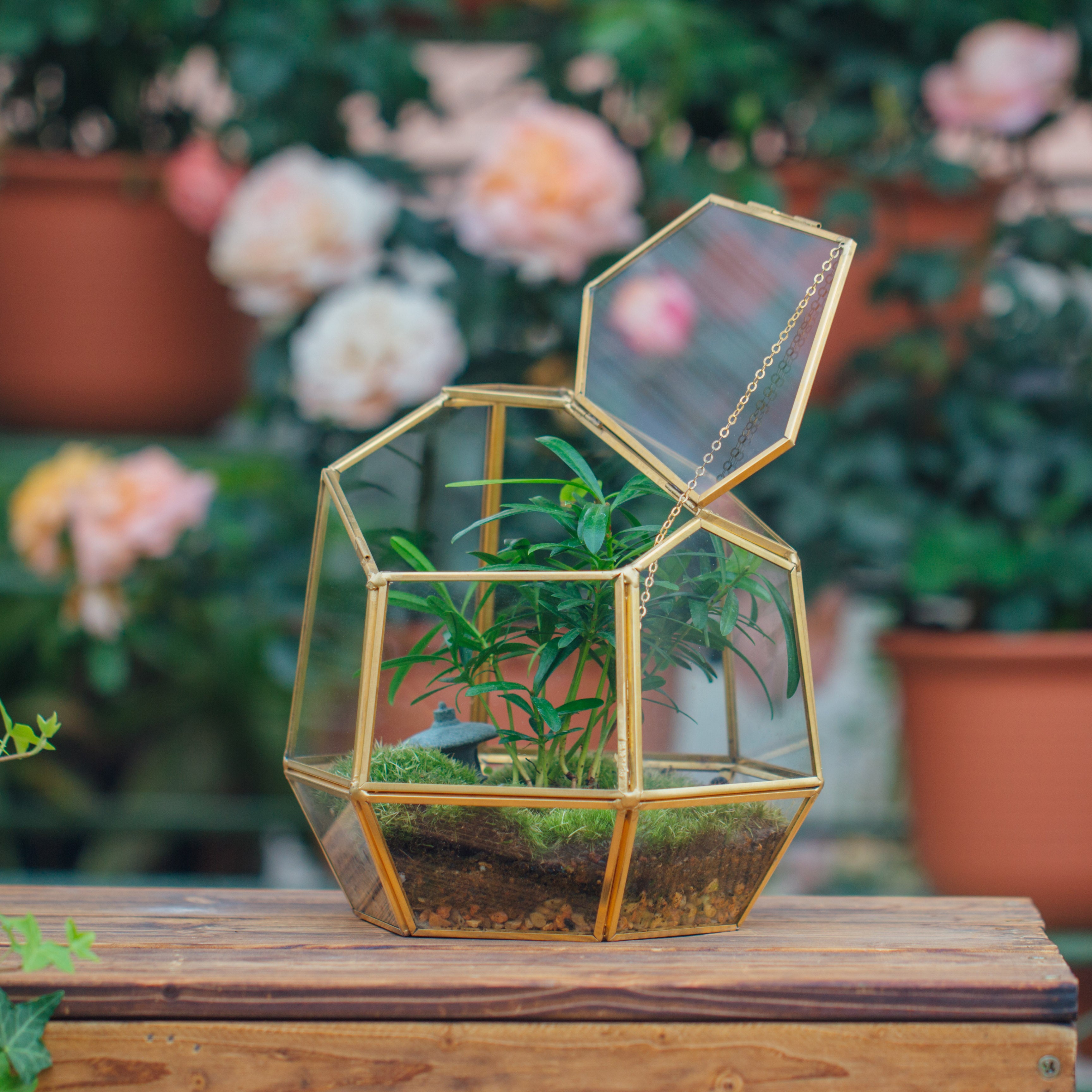 NCYP Close Geometric Glass Terrarium with Door, Brass, Irregular Tall Planter Succulent Cacti Fern Flower Pot - NCYPgarden
