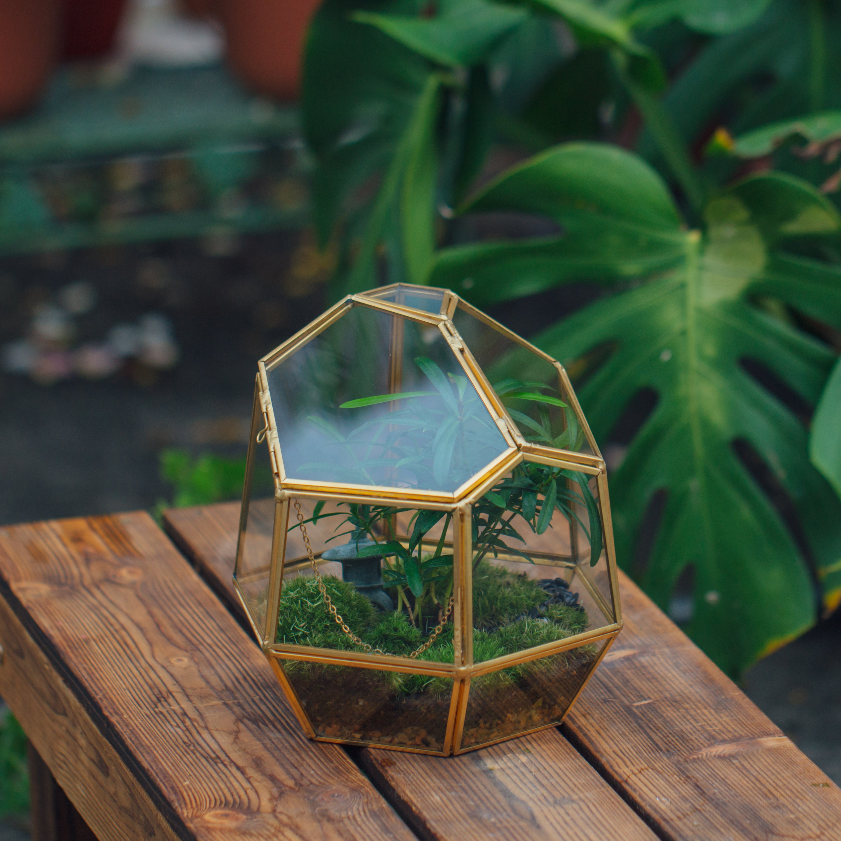 NCYP Close Geometric Glass Terrarium with Door, Brass, Irregular Tall Planter Succulent Cacti Fern Flower Pot - NCYPgarden