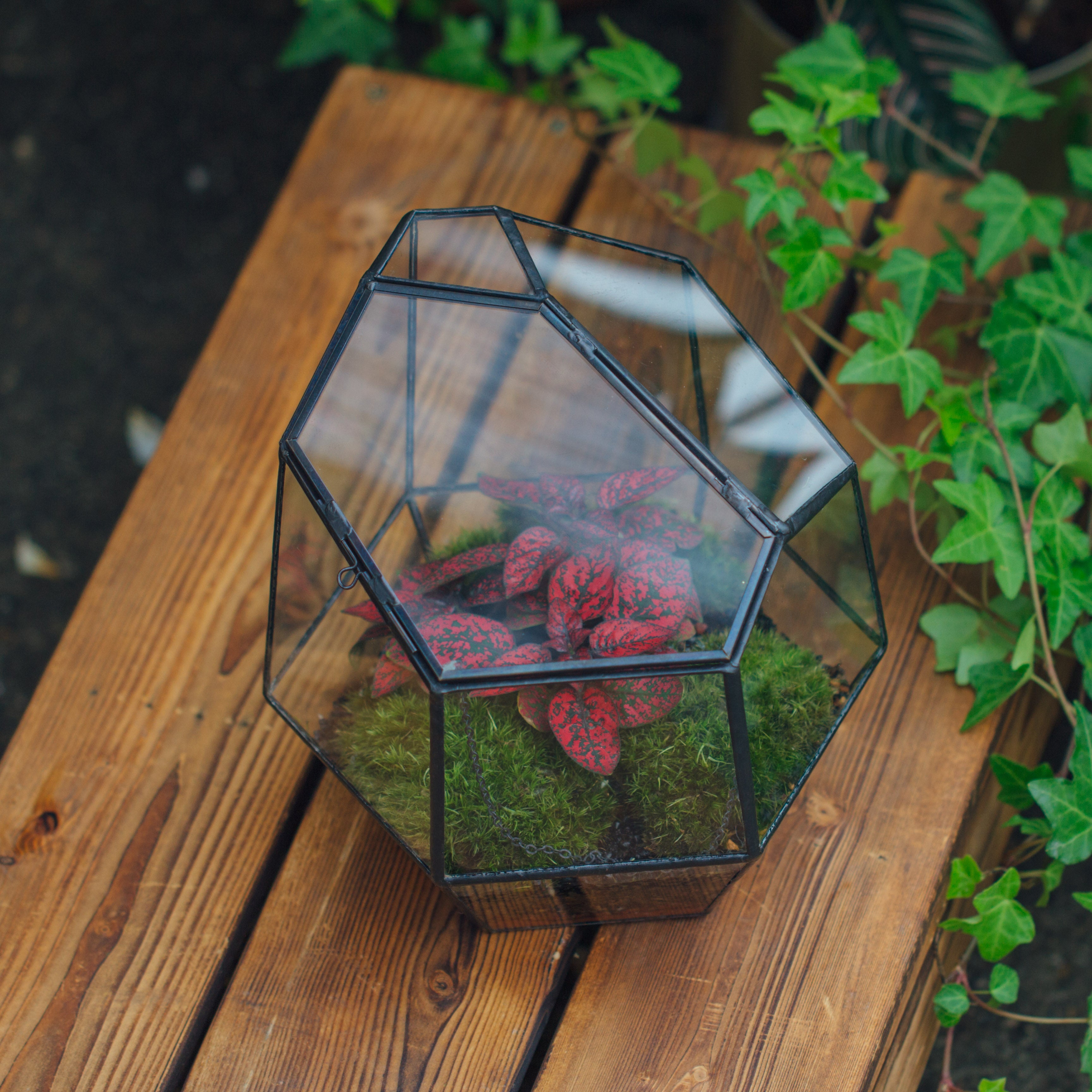 NCYP Close Geometric Glass Terrarium with Door, Tin Sealed Irregular Tall Planter Succulent Cacti Fern Flower Pot - NCYPgarden