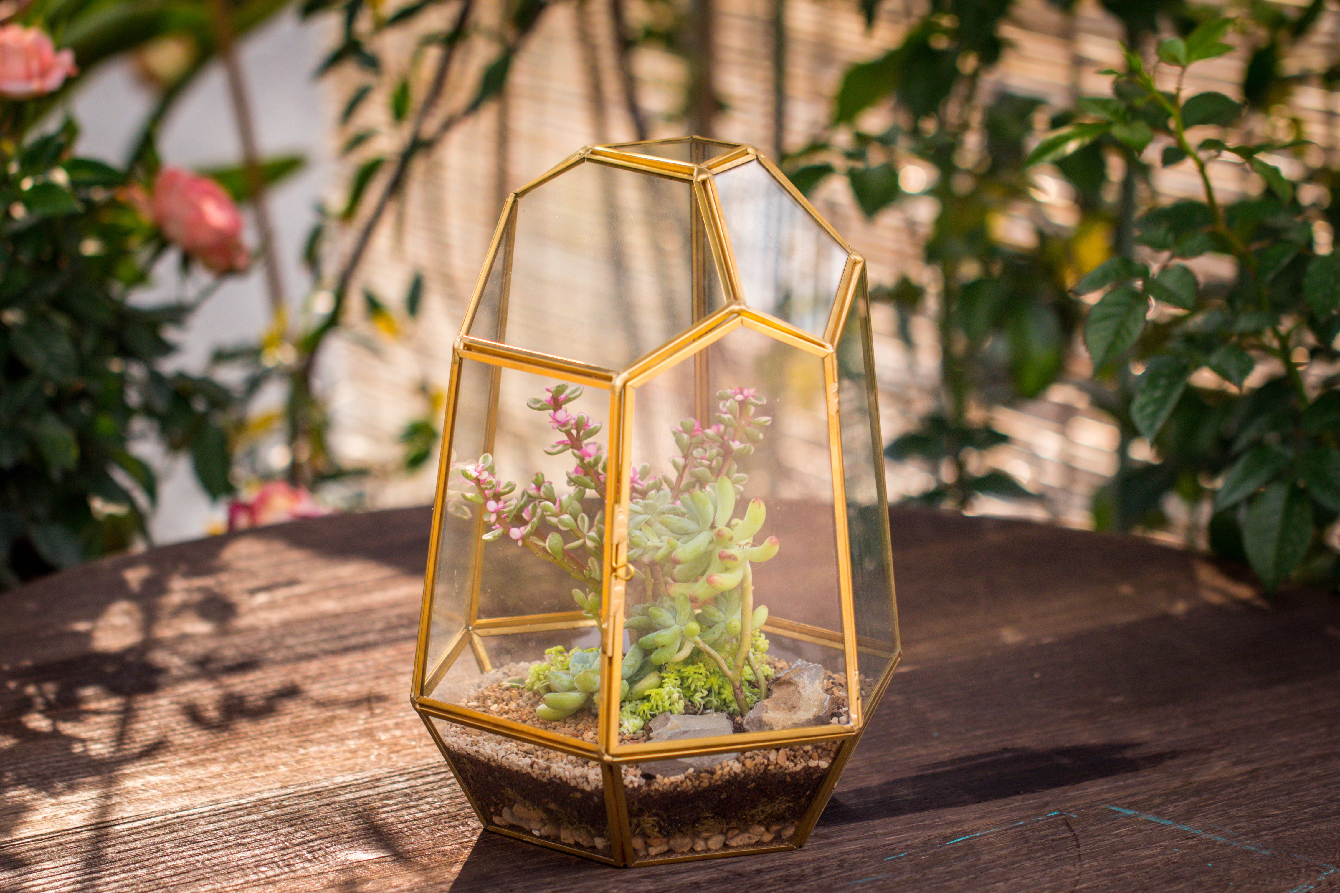 NCYP Close Geometric Glass Terrarium with Door, Brass, Irregular Tall Planter Succulent Cacti Fern Flower Pot - NCYPgarden