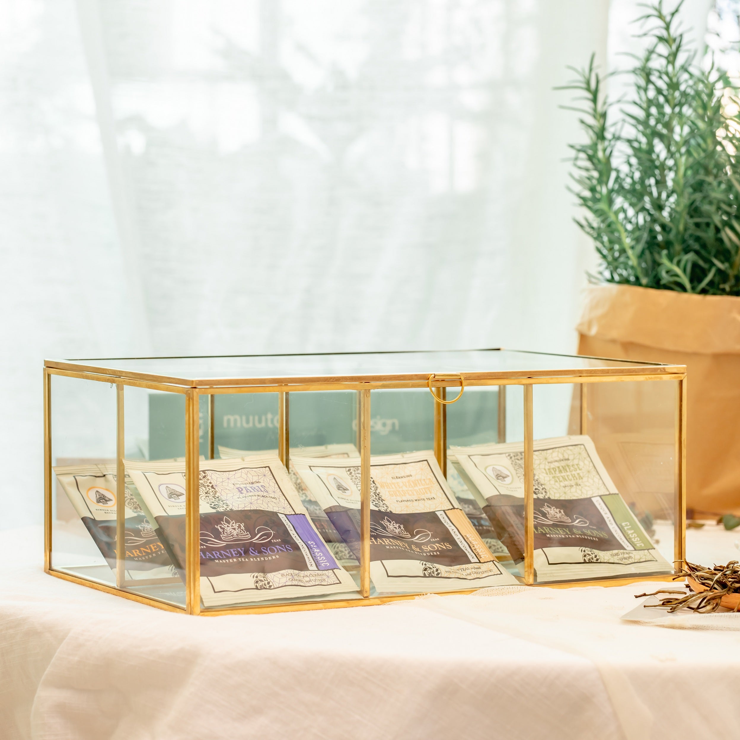 NCYP Glass Terrarium Box Tea Coffee Bag  Storage Organizer Jewelry Counter  6 Grids Compartments Handcrafted Brass for Harney & Sons Tea Bag - NCYPgarden