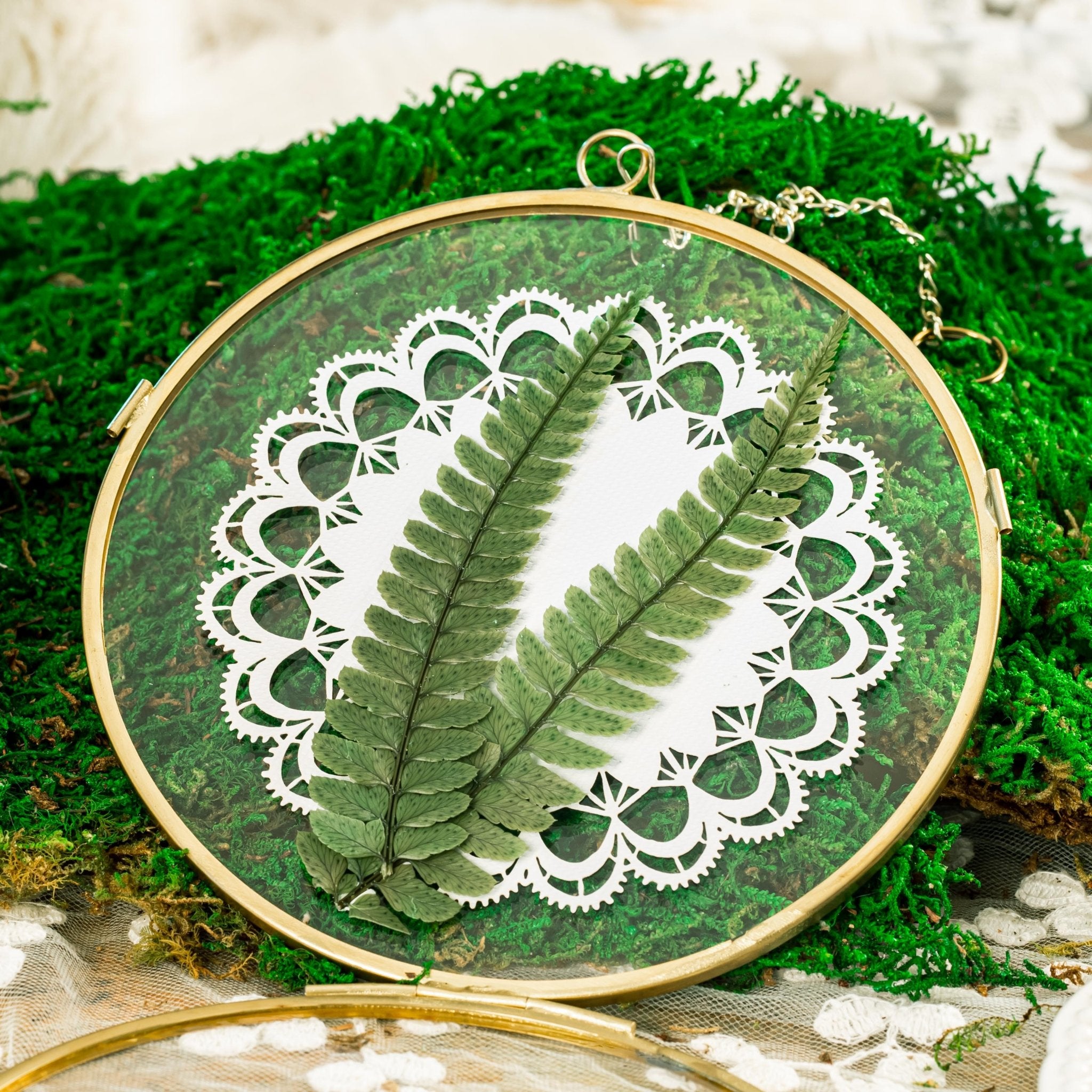NCYP Wall Hanging Round 5" Herbarium Brass Glass Frame for Pressed Flowers, Dried Flowers, Poster, Double Glass, floating Frame FN01T1 - NCYPgarden