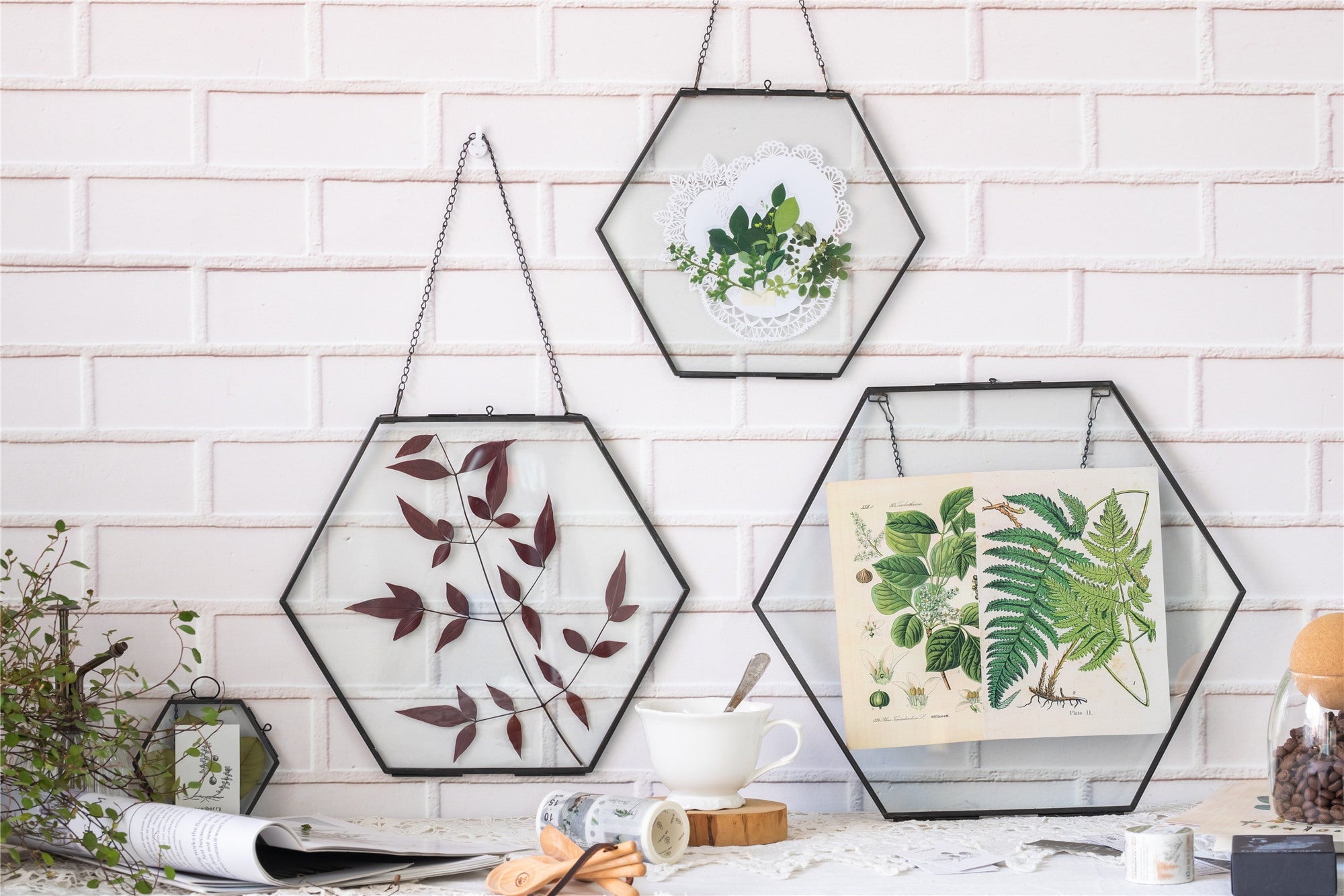 Hanging Black Hexagon Herbarium Brass Glass Frame for Pressed Flowers Dried Flowers Floating Frame - NCYPgarden