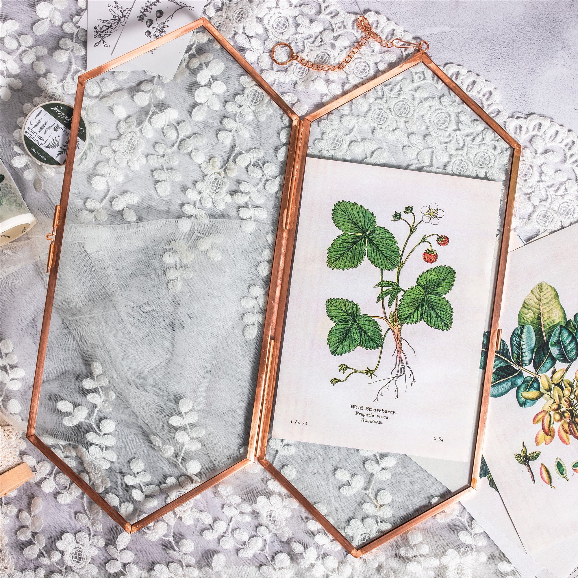 NCYP Vintage Rose Gold Copper Floating Hanging Glass Long Hexagon Frame for Fern, Pressed Flower - NCYPgarden