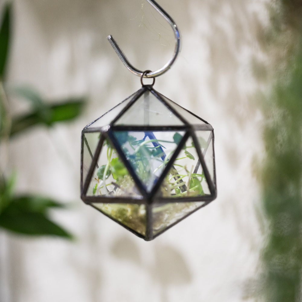 Modern Hanging Triangular Mine Round Ball Glass Geometric Terrarium for Succulent Plant Fern Moss - NCYPgarden