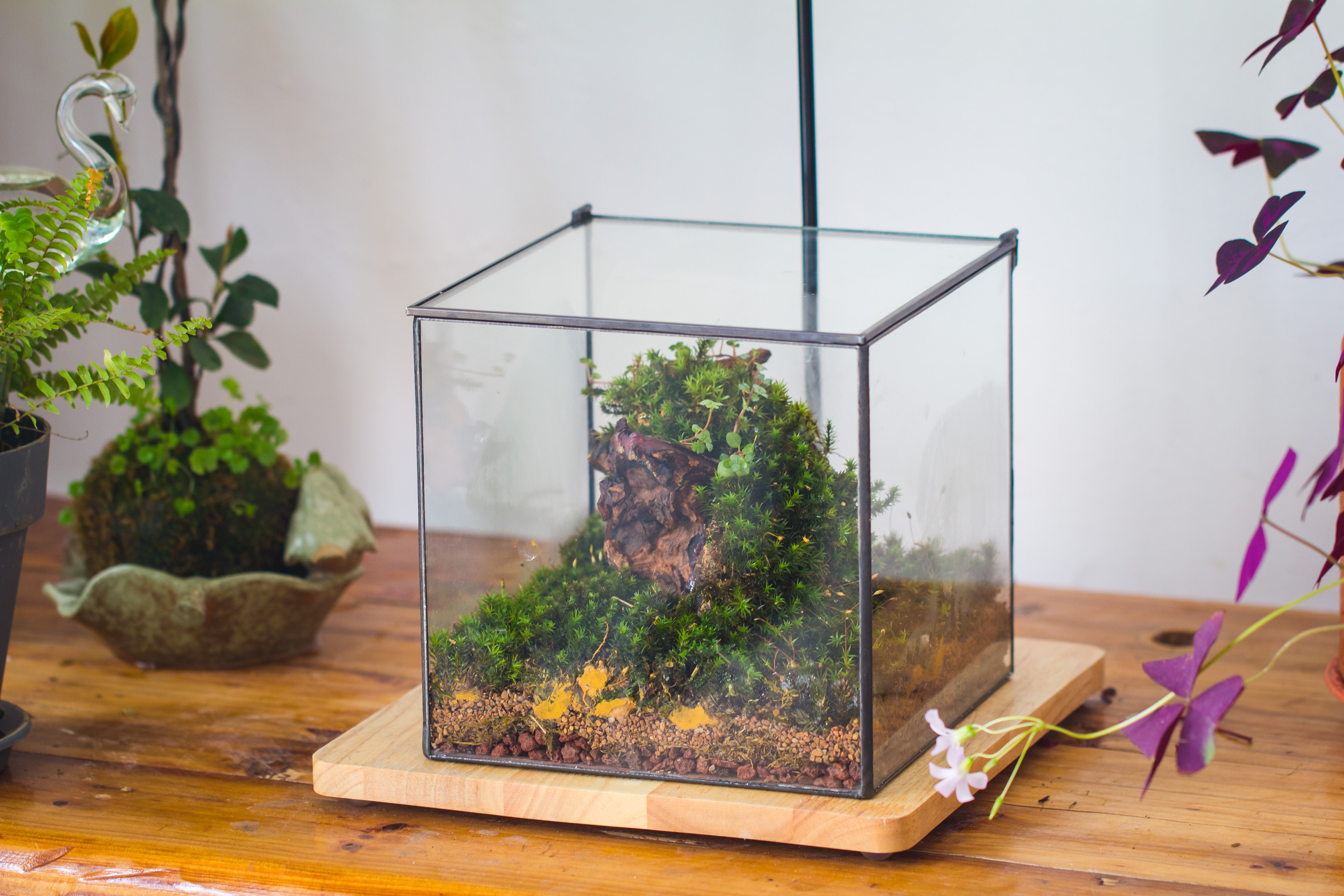 NCYP Basic Rectangle Close Geometric Glass Tin Terrarium, Planter  Multiple Size for Moss Wall, Fern, Landscape multiple size, No plants - NCYPgarden