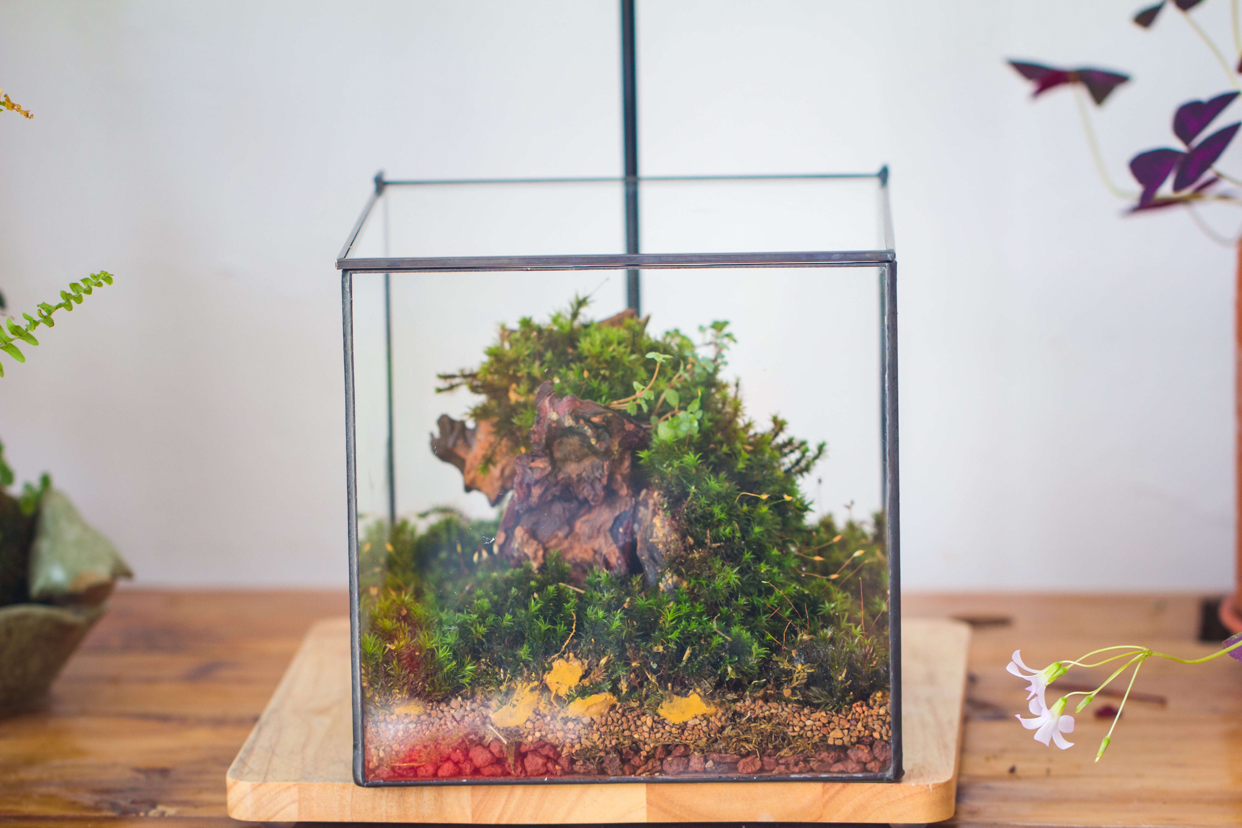 NCYP Basic Rectangle Close Geometric Glass Tin Terrarium, Planter  Multiple Size for Moss Wall, Fern, Landscape multiple size, No plants - NCYPgarden