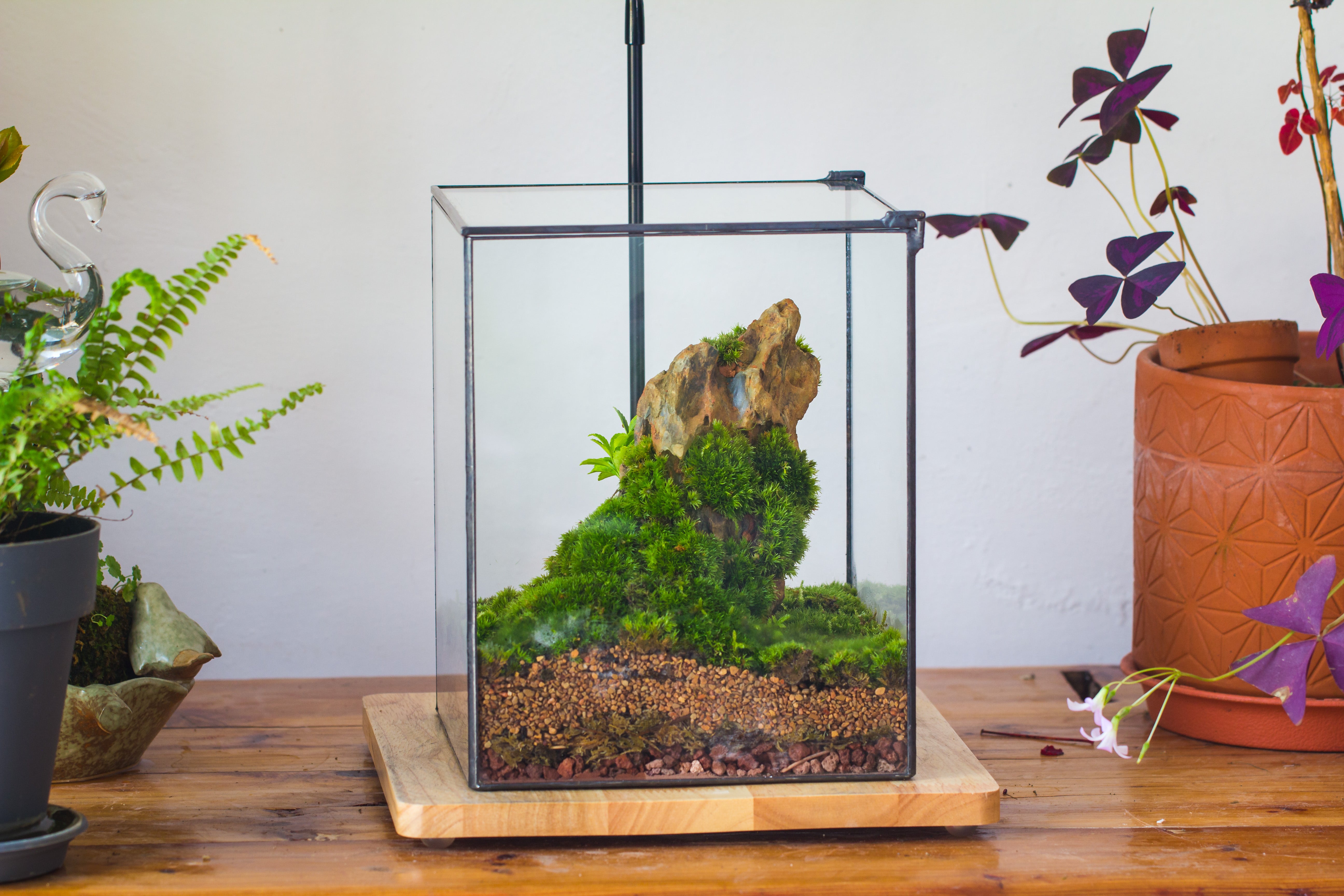 NCYP Basic Rectangle Close Geometric Glass Tin Terrarium, Planter  Multiple Size for Moss Wall, Fern, Landscape multiple size, No plants - NCYPgarden