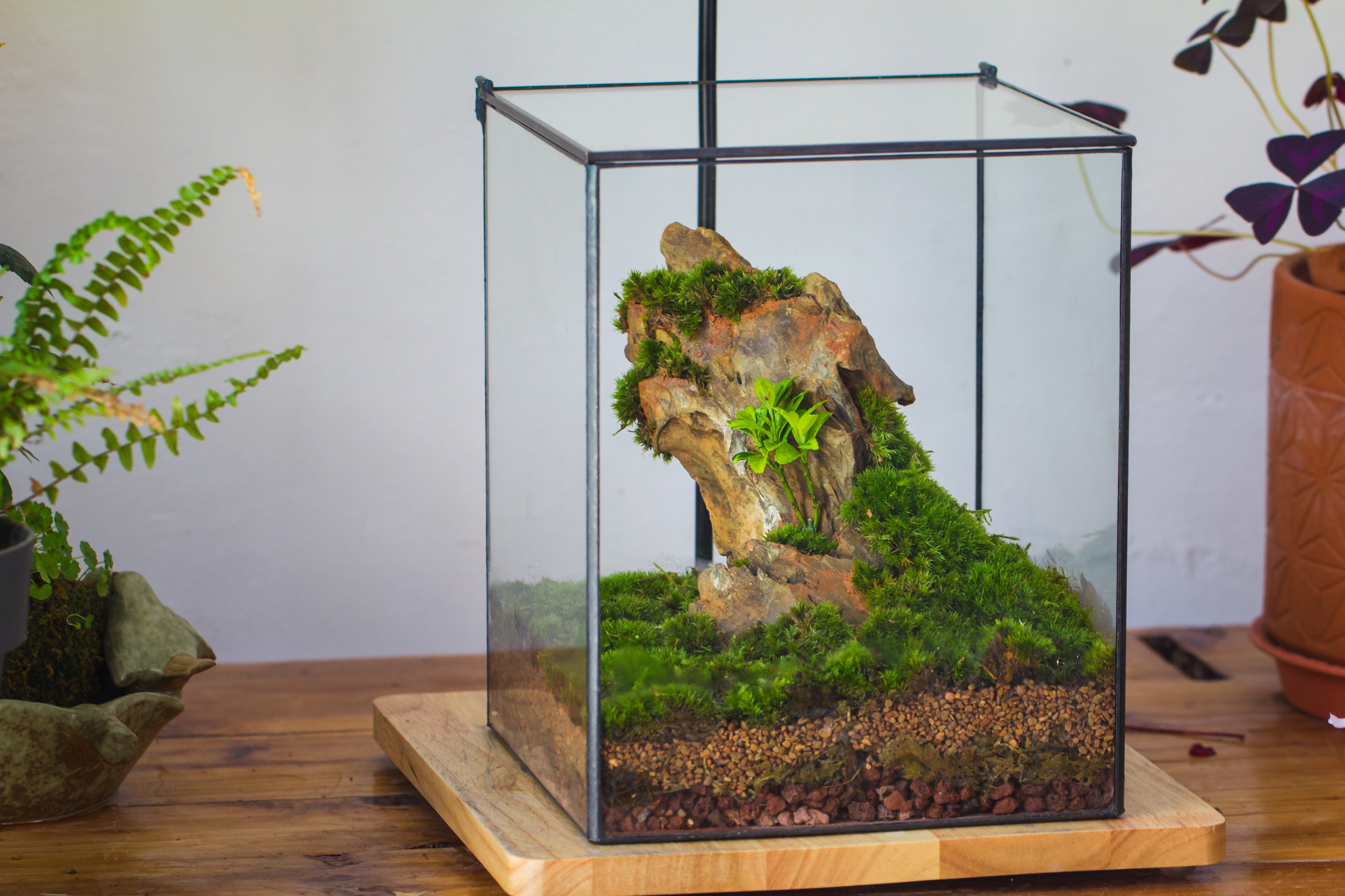 NCYP Basic Rectangle Close Geometric Glass Tin Terrarium, Planter  Multiple Size for Moss Wall, Fern, Landscape multiple size, No plants - NCYPgarden