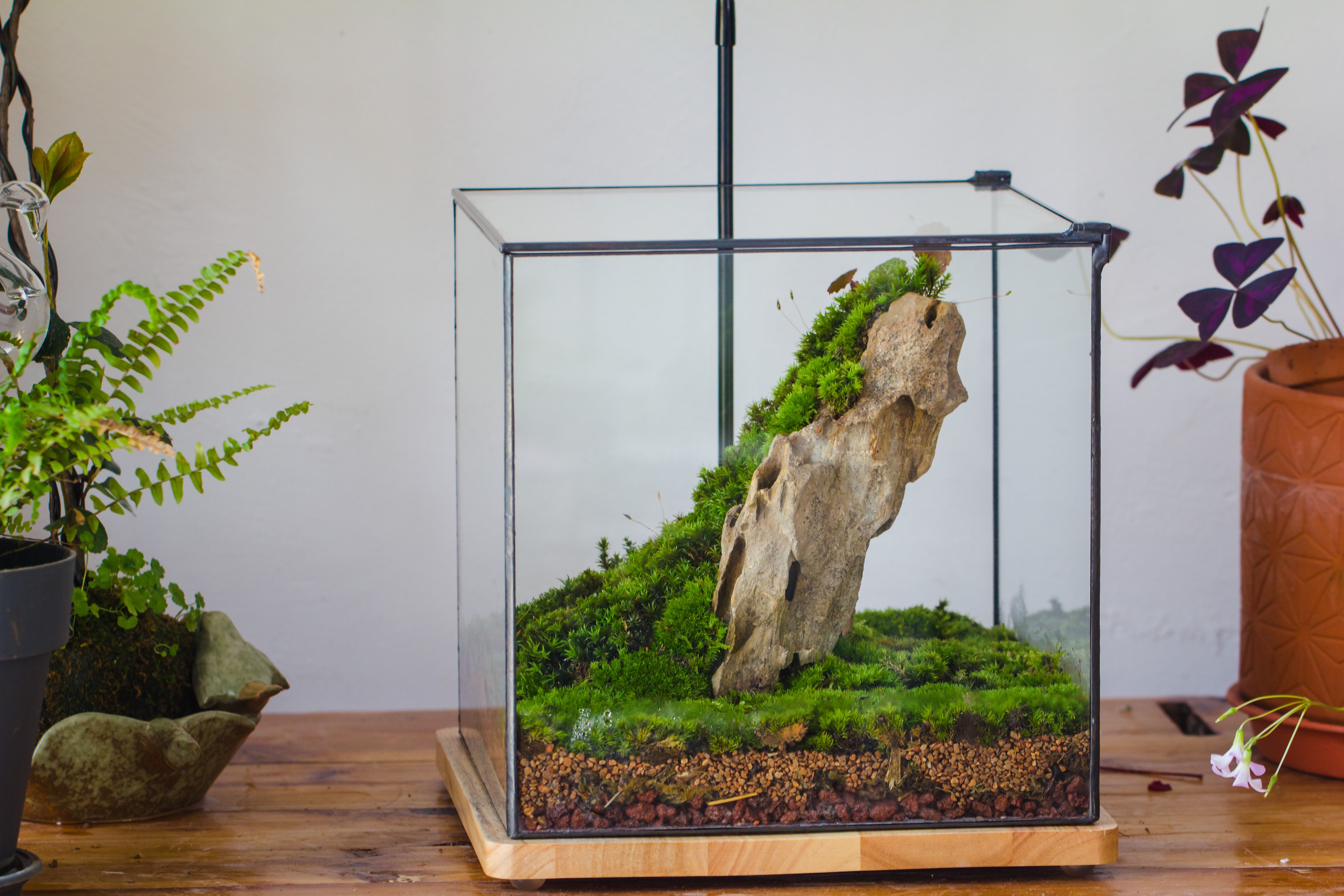 NCYP Basic Rectangle Close Geometric Glass Tin Terrarium, Planter  Multiple Size for Moss Wall, Fern, Landscape multiple size, No plants - NCYPgarden