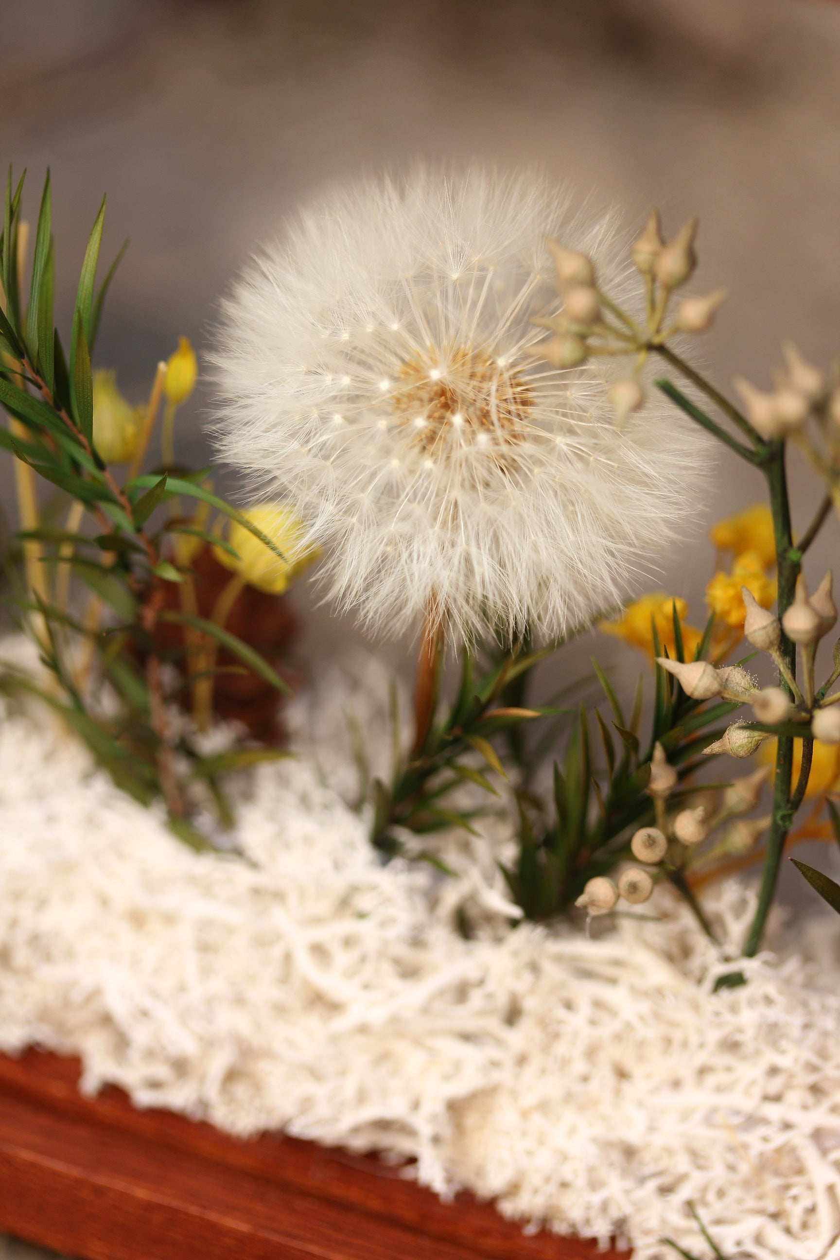 Presered Dandelion Set 3 pcs Dried Flowers, DIY Material for Bouquet, - NCYPgarden