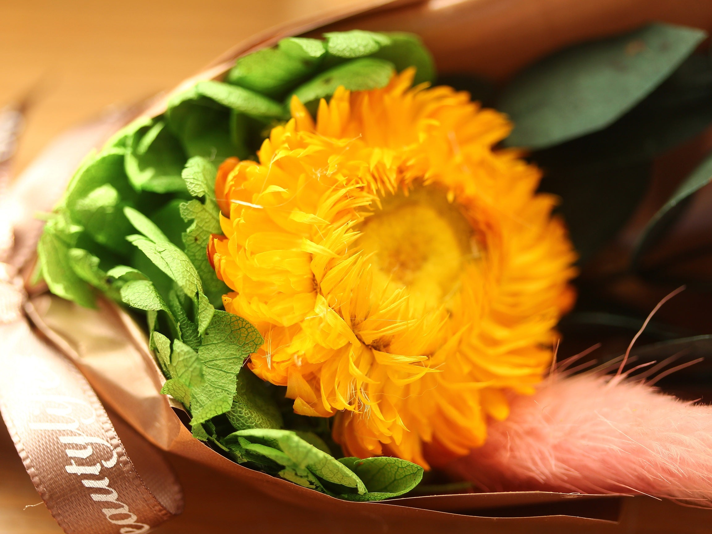 Dried Flowers Terrarium Gift Set Dried Strawflower Bouquet in Glass Tube - NCYPgarden