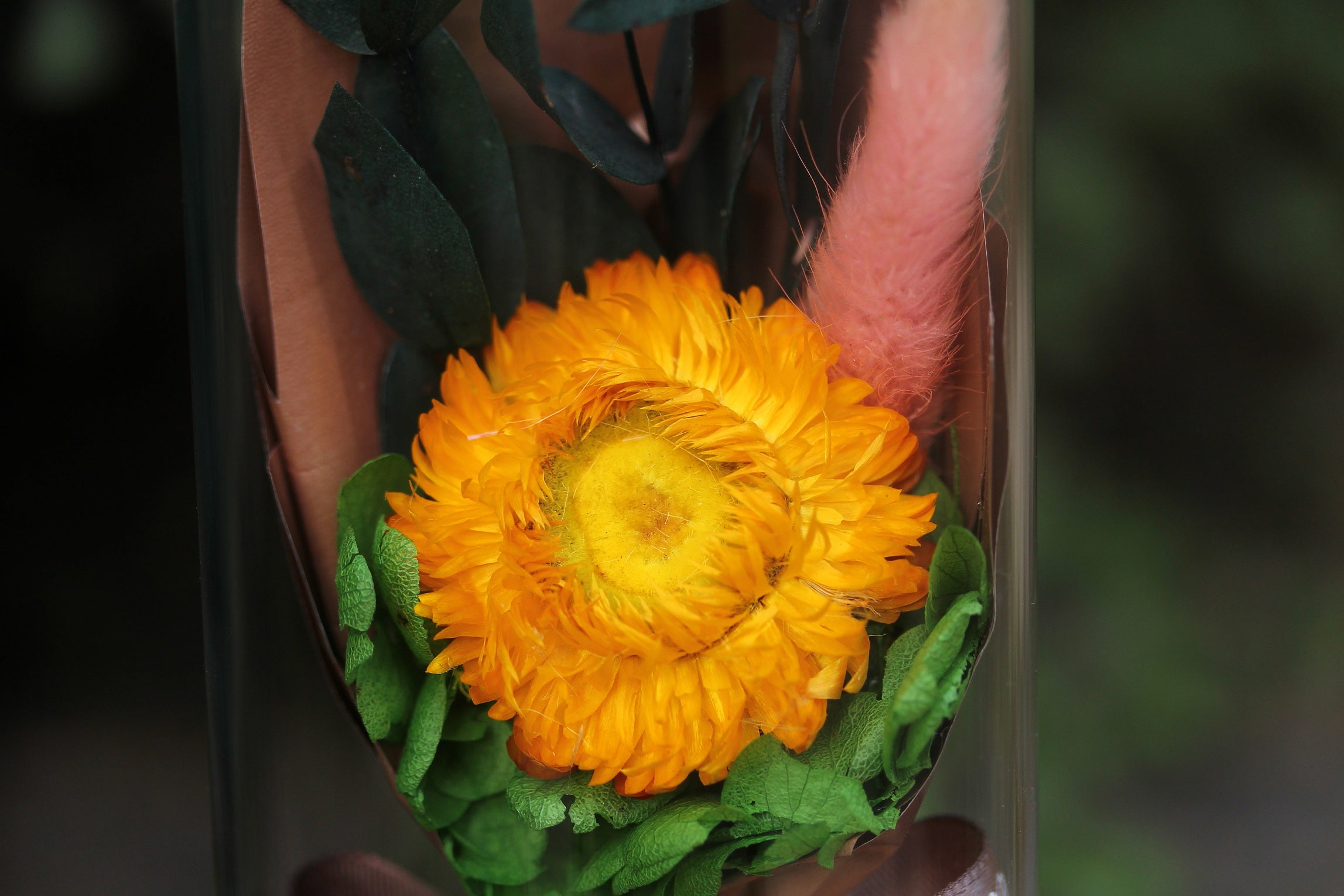Dried Flowers Terrarium Gift Set Dried Strawflower Bouquet in Glass Tube - NCYPgarden