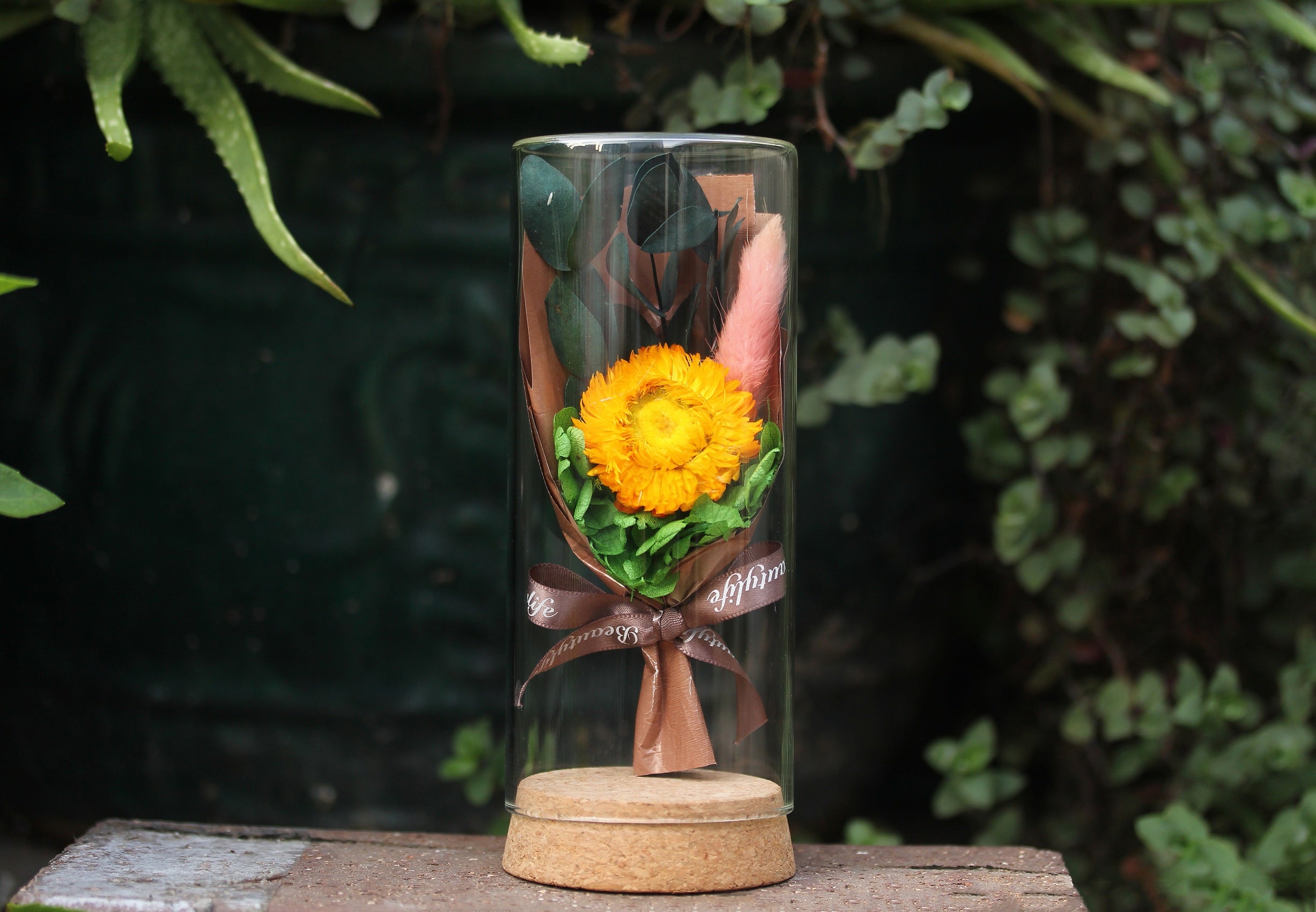 Dried Flowers Terrarium Gift Set Dried Strawflower Bouquet in Glass Tube - NCYPgarden