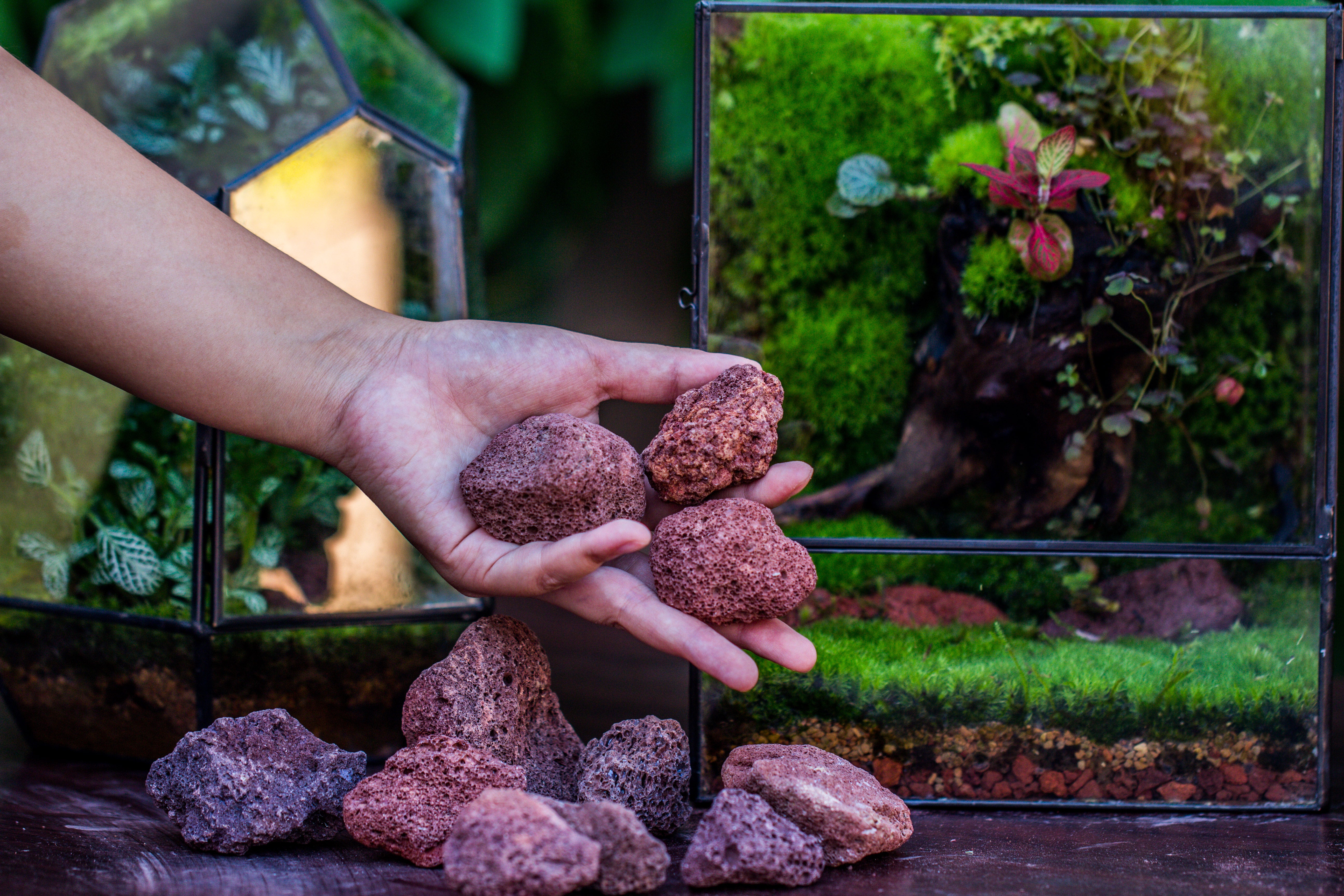 5-8cm Red Horticultural Lava Rock Volcanic Rock for Terrarium, Bonsai Landscape, 500g - NCYPgarden