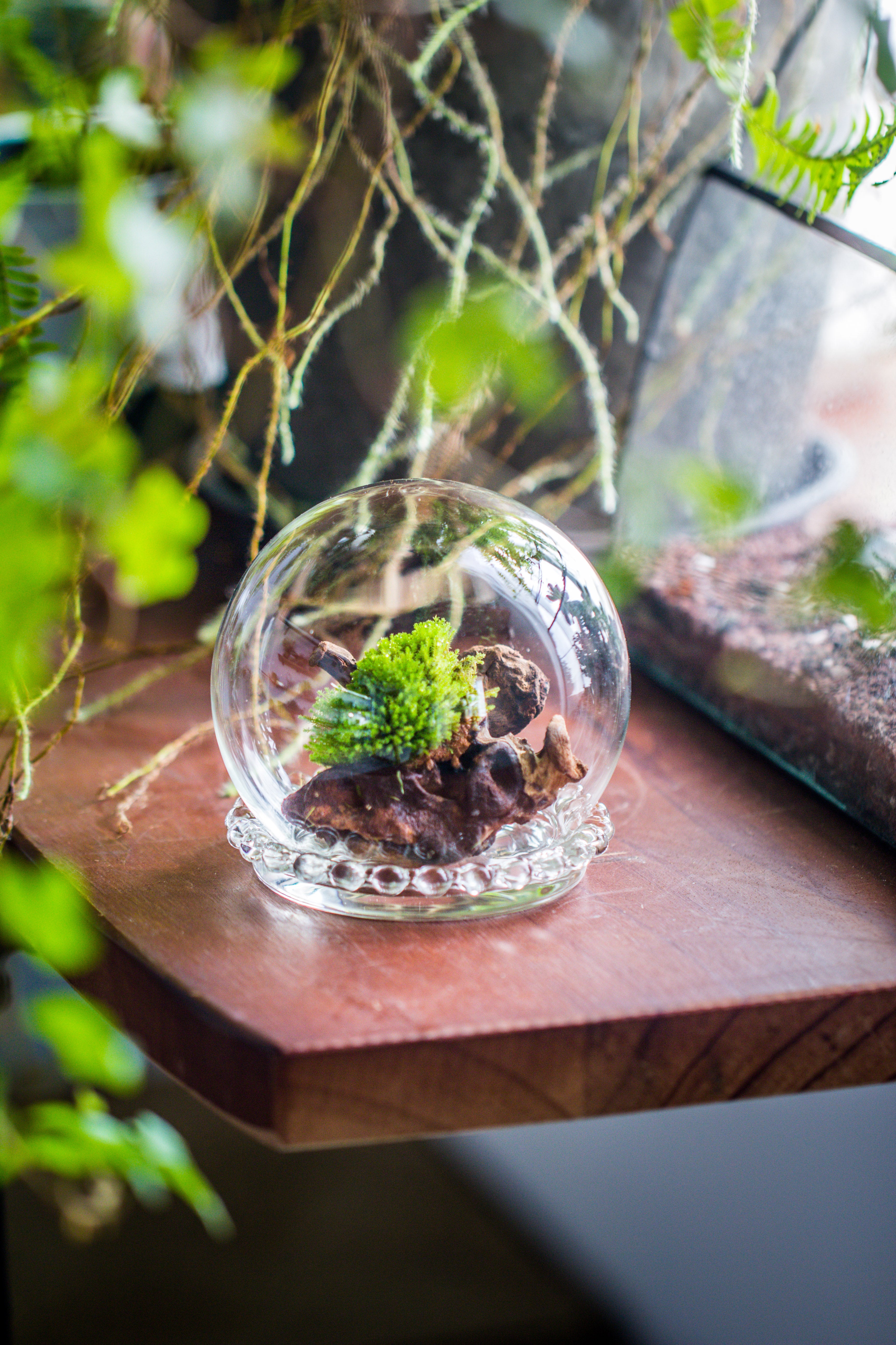 mini glass globe cloche with decorative beaded base 9.5x10.8cm - NCYPgarden