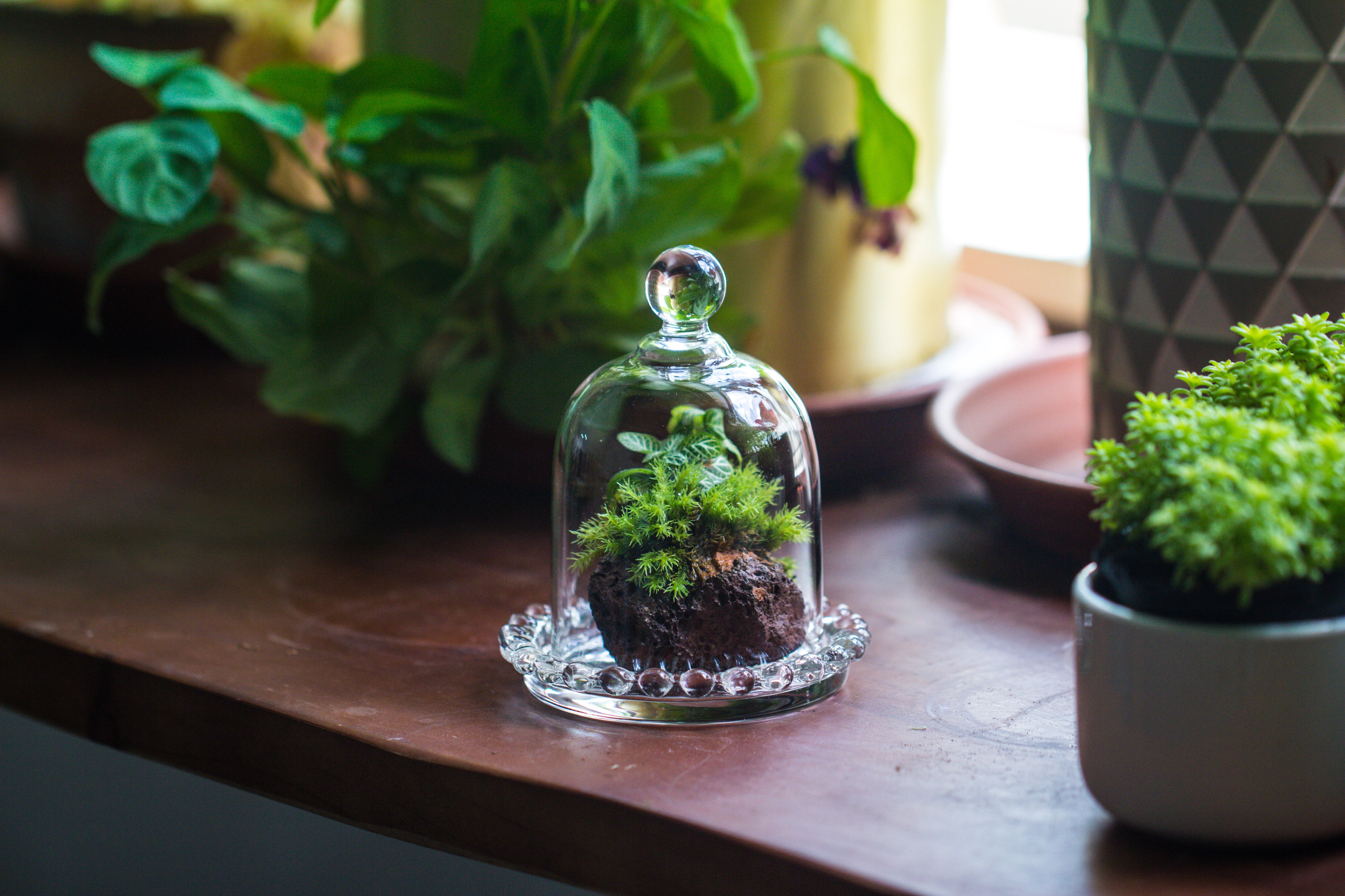 mini bell shape glass cloche dome with beaded decorative base 9.5x14cm - NCYPgarden