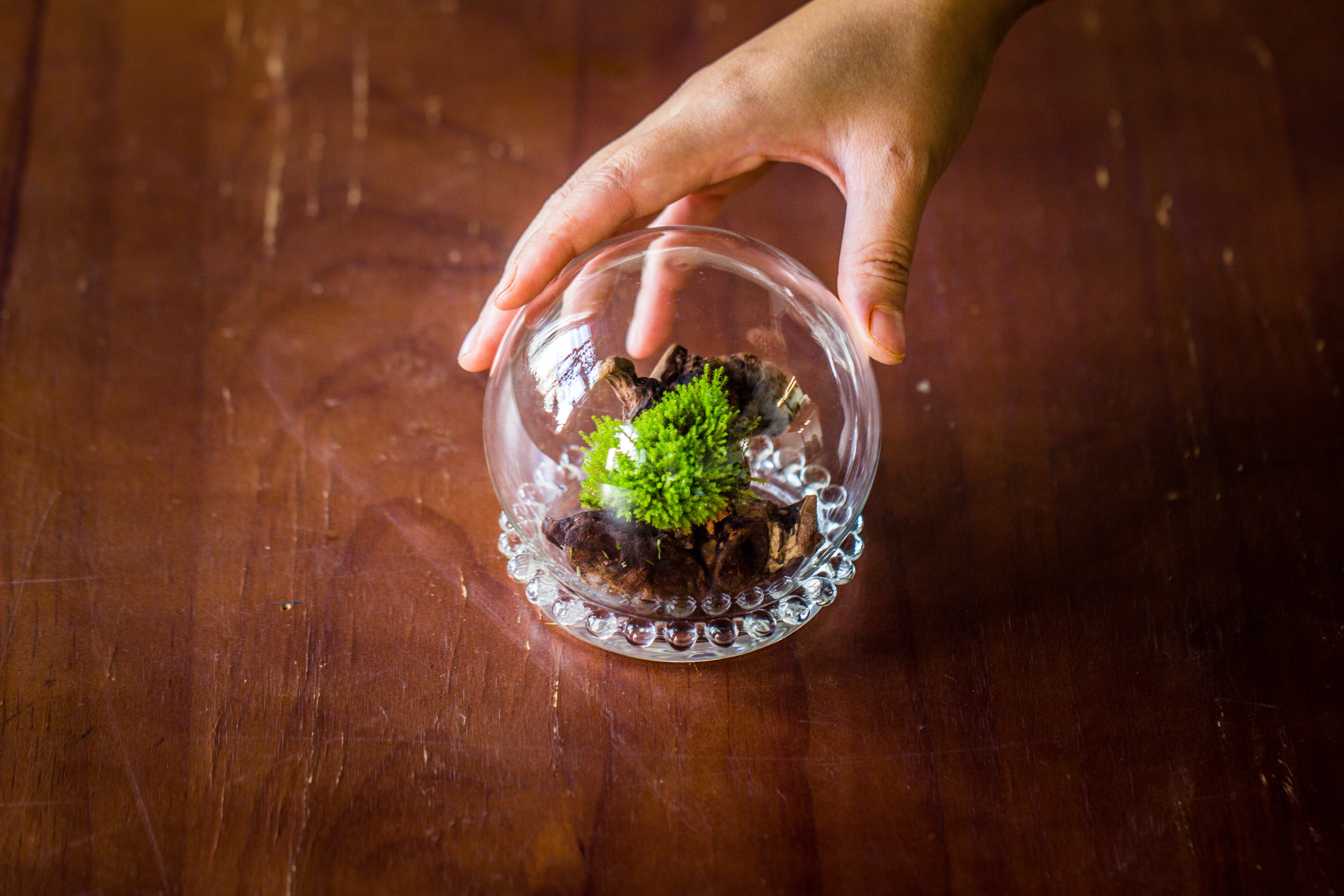 mini glass globe cloche with decorative beaded base 9.5x10.8cm - NCYPgarden