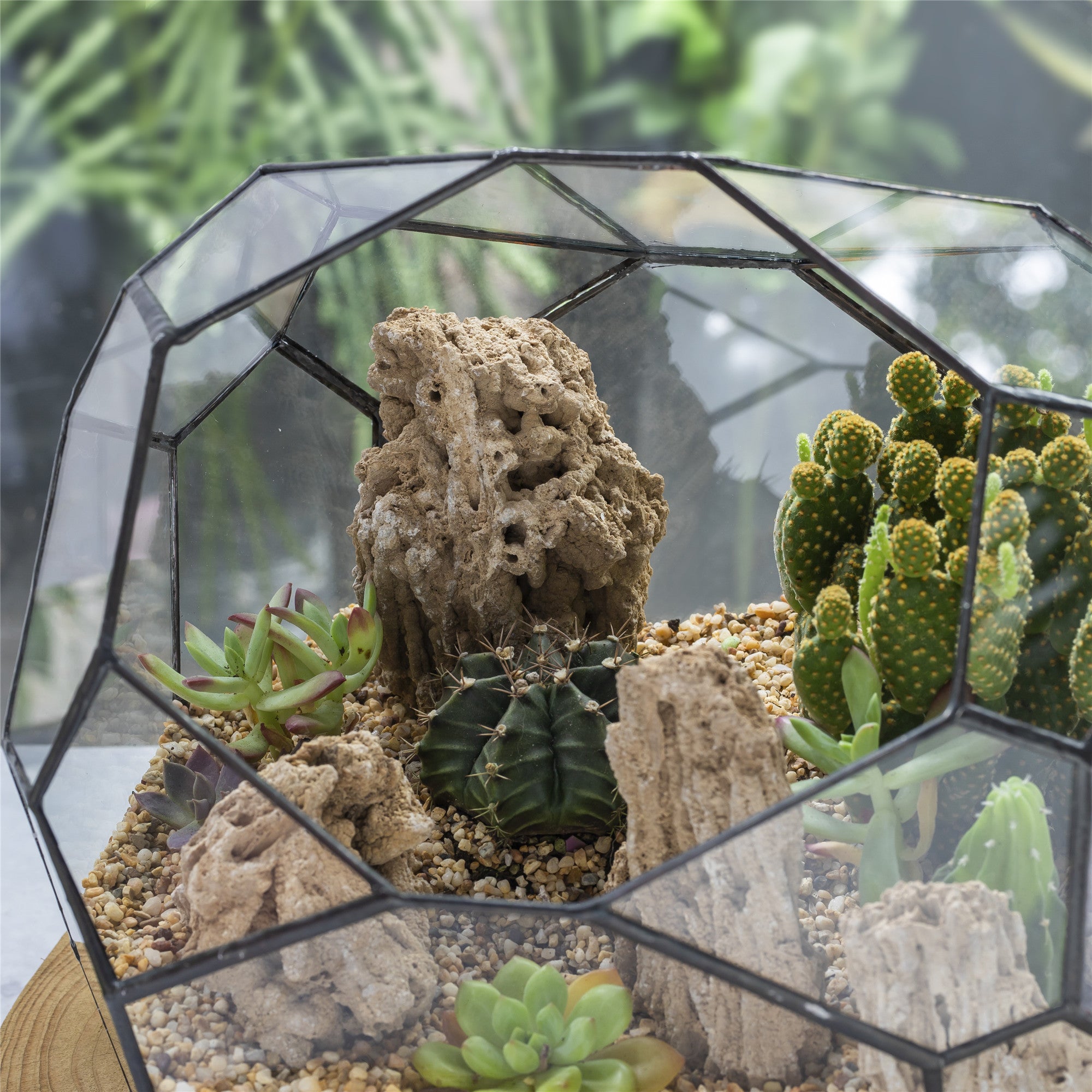 Natural Reed Tube Limestone Absorption for Landscaping Rockery Aquarium Bonsai Terrarium Succulents - NCYPgarden