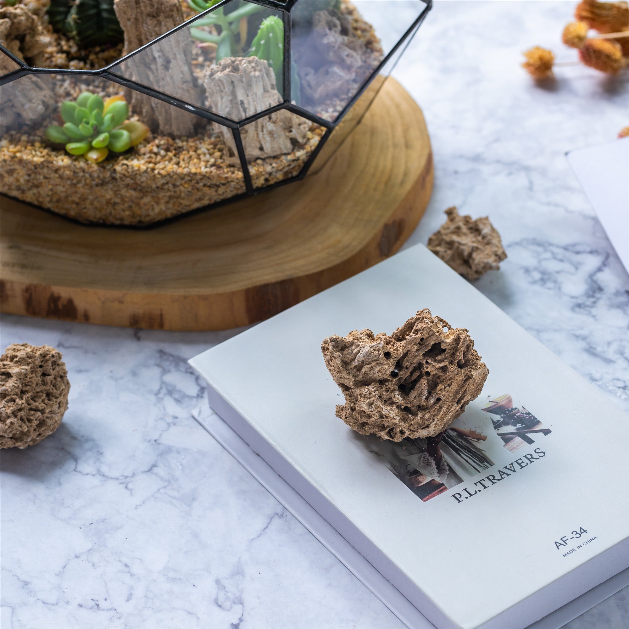 Natural Reed Tube Limestone Absorption for Landscaping Rockery Aquarium Bonsai Terrarium Succulents - NCYPgarden