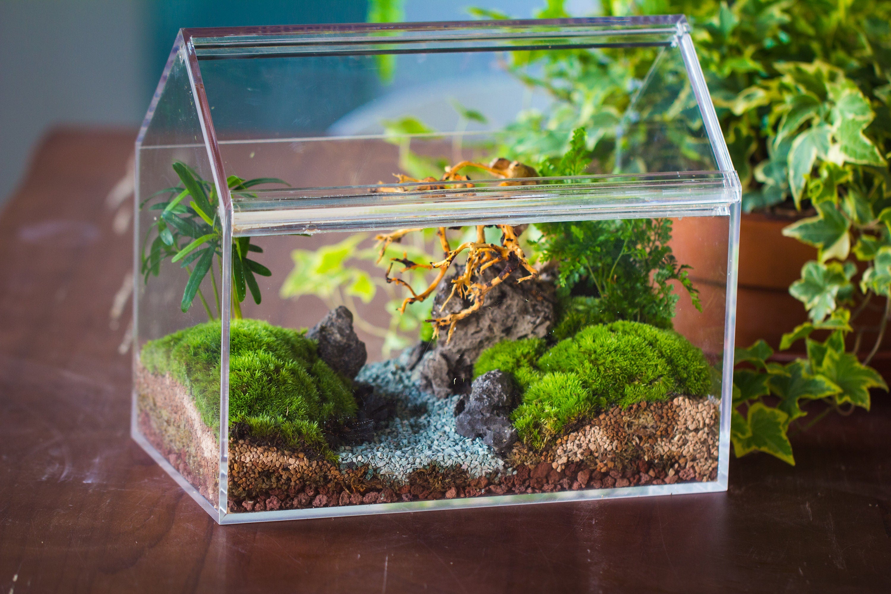 handmade water tight, sealed, enclosed, house acrylic terrarium, fish tank, moss fern terrarium Paludarium  Vivarium, 2 lid with vent - NCYPgarden