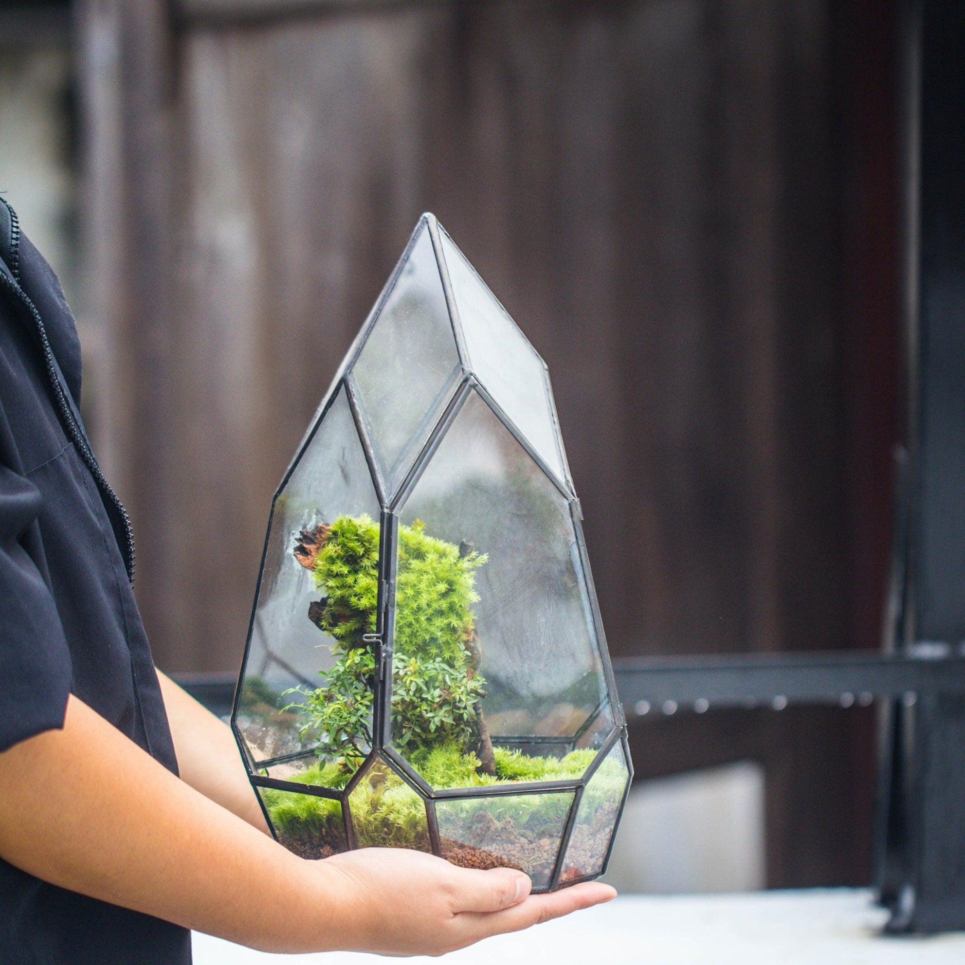 NCYP Irregular Close Geometric Glass Terrarium with door Tall Teardrop Planter Pot Miniature  Moss, Tropical Plants Orchid Container - NCYPgarden