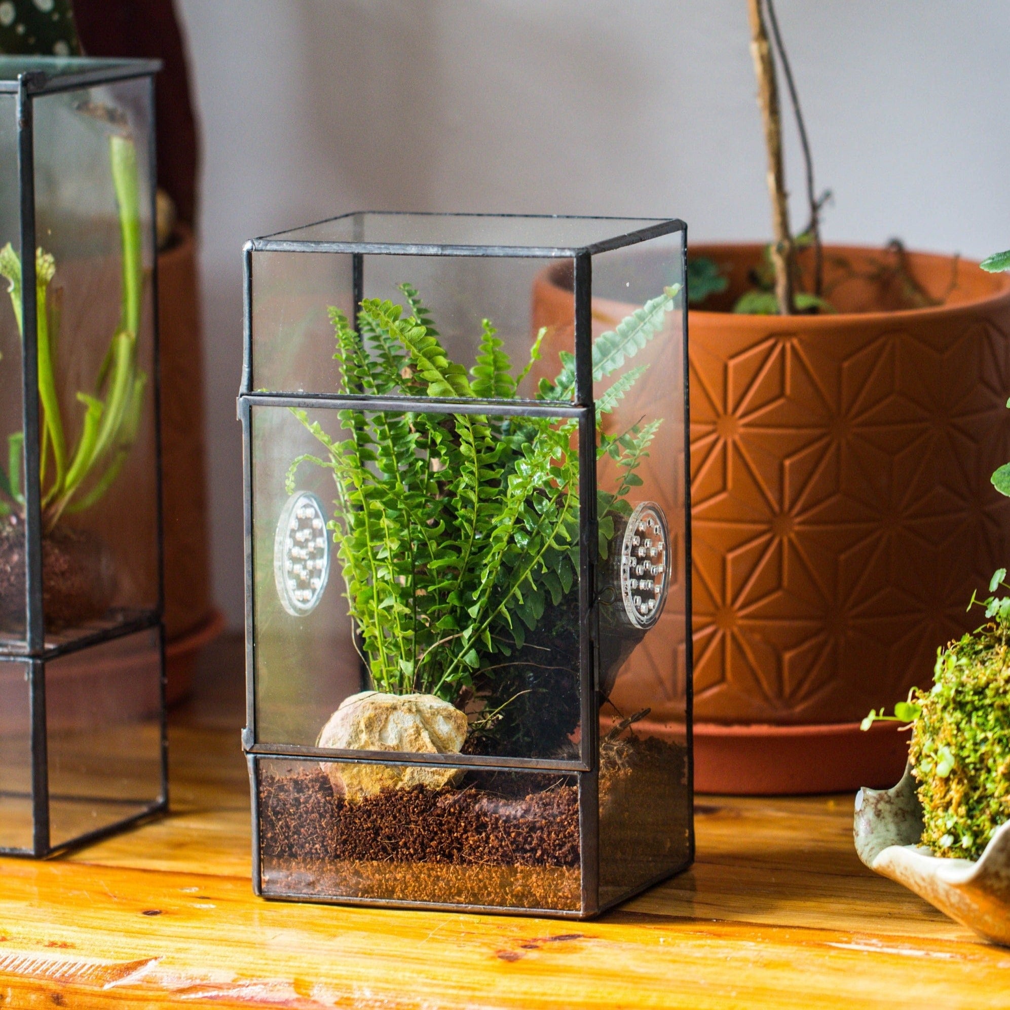 NCYP Rectangle Tin and Glass Geometric Terrarium, with side door, with Mesh for small Insects Pet PR04E1 - NCYPgarden