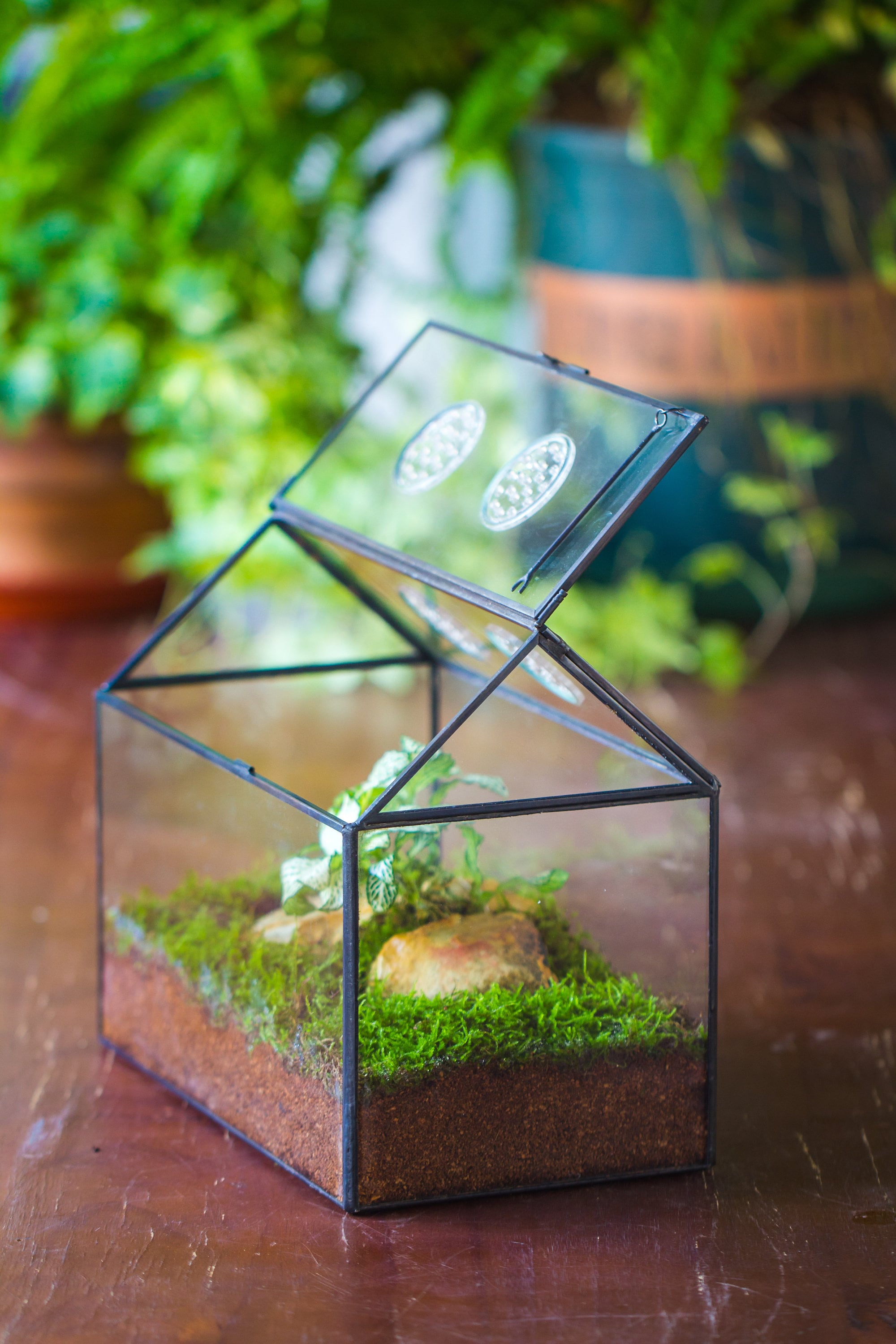 NCYP Handmade Geometric Glass Close Terrarium Box House Shape, Swing Lid Latch for Air Plants Moss Snail Reptile Habitat Vivarium - NCYPgarden